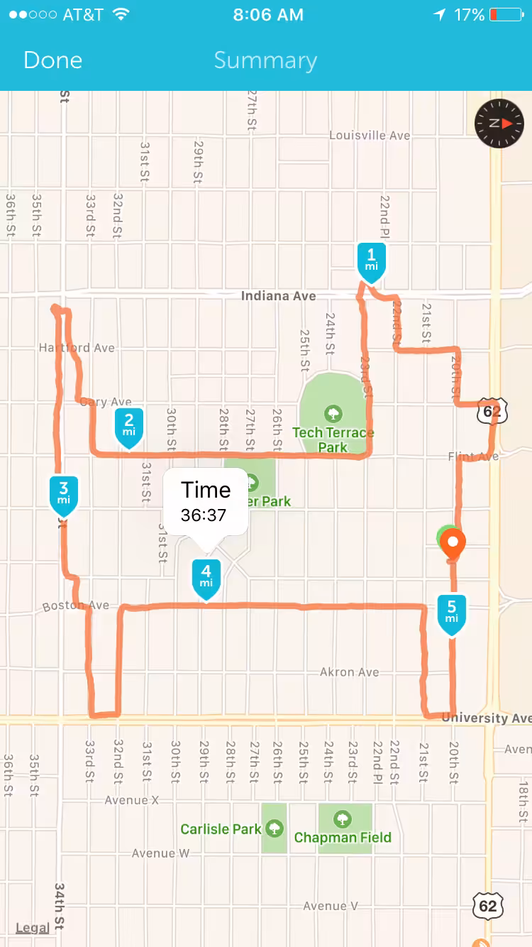 dog run #3