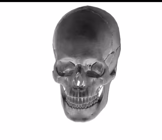 Skull