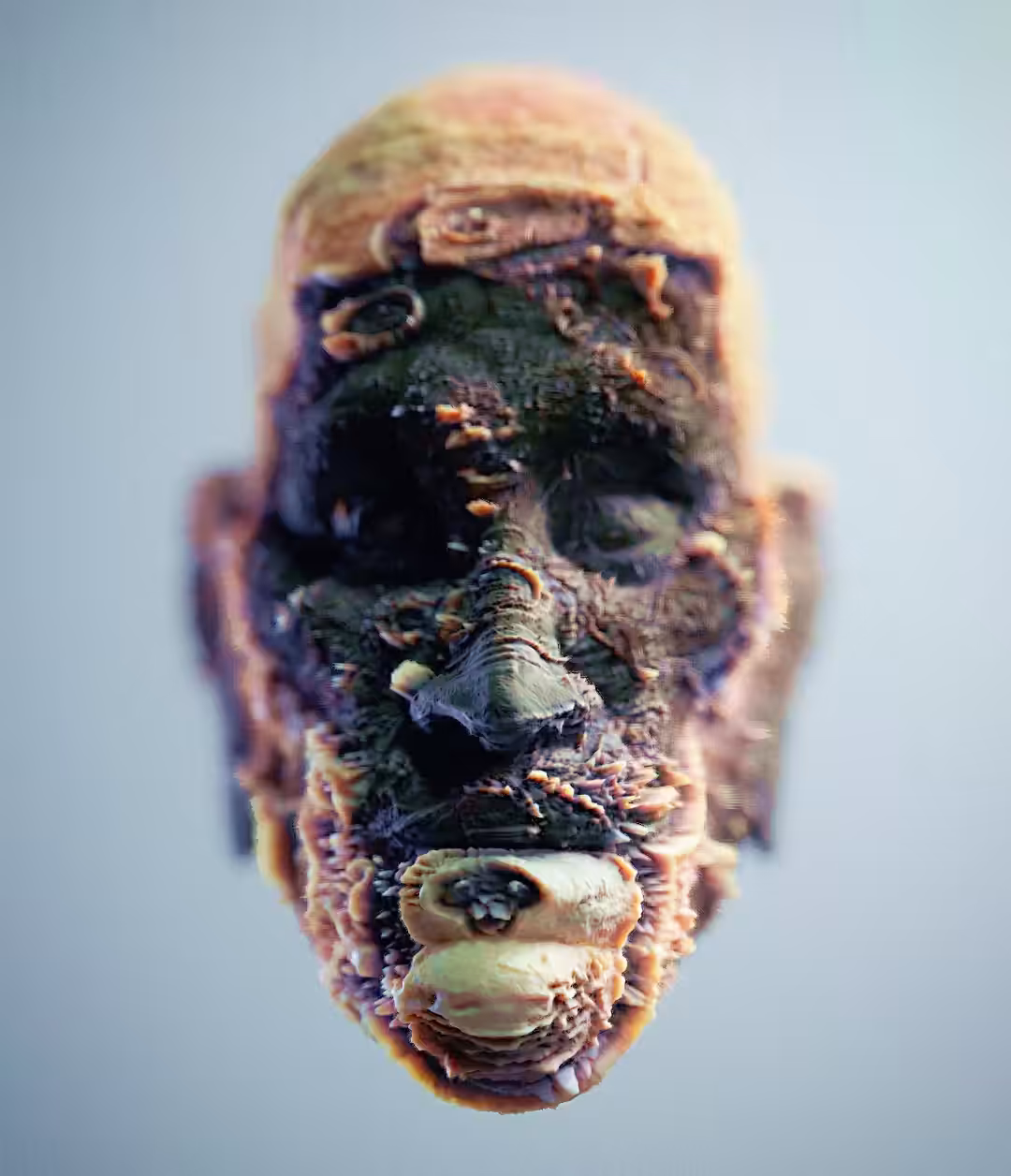 The Head #4