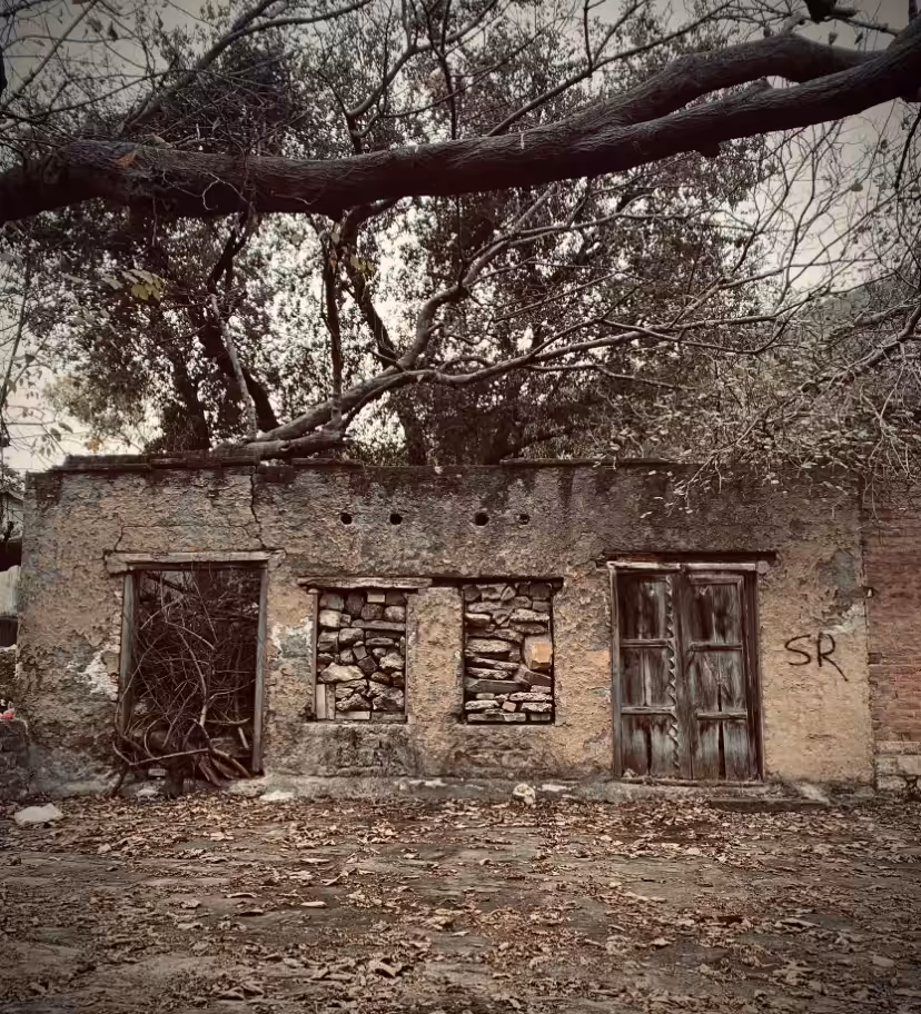 It Looked Like a House