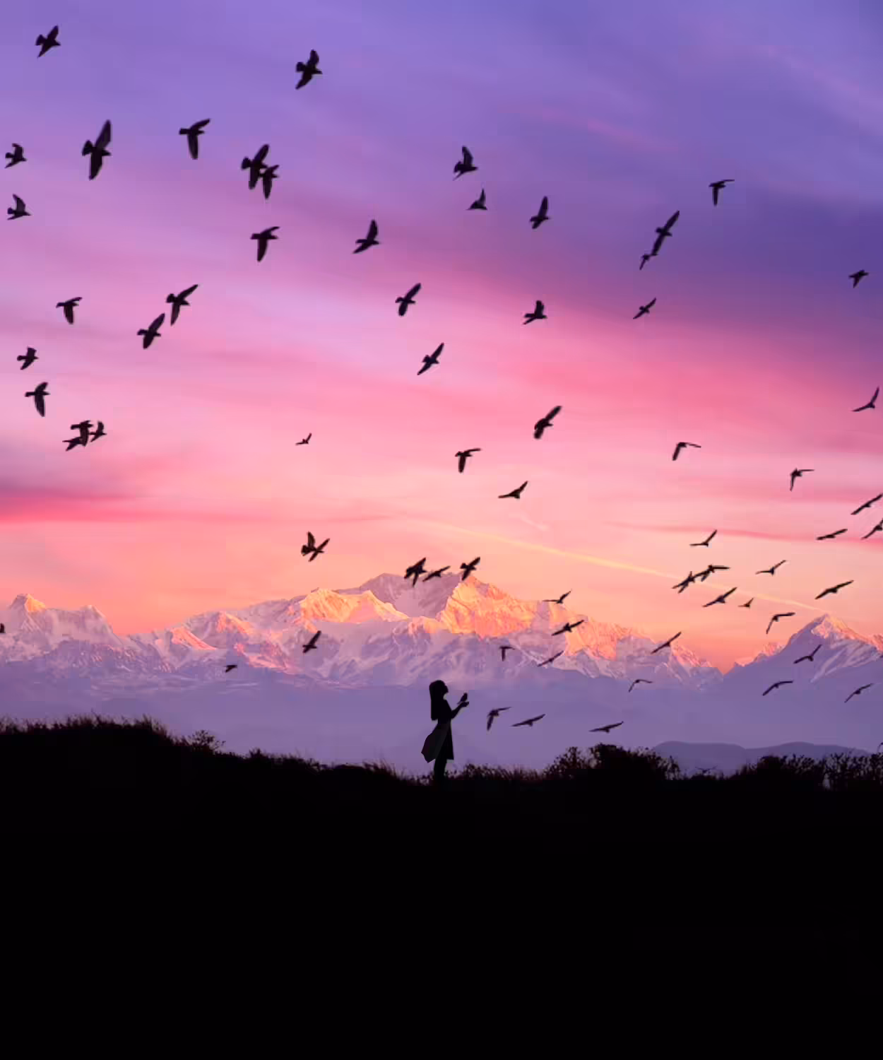 Bird Whisperer