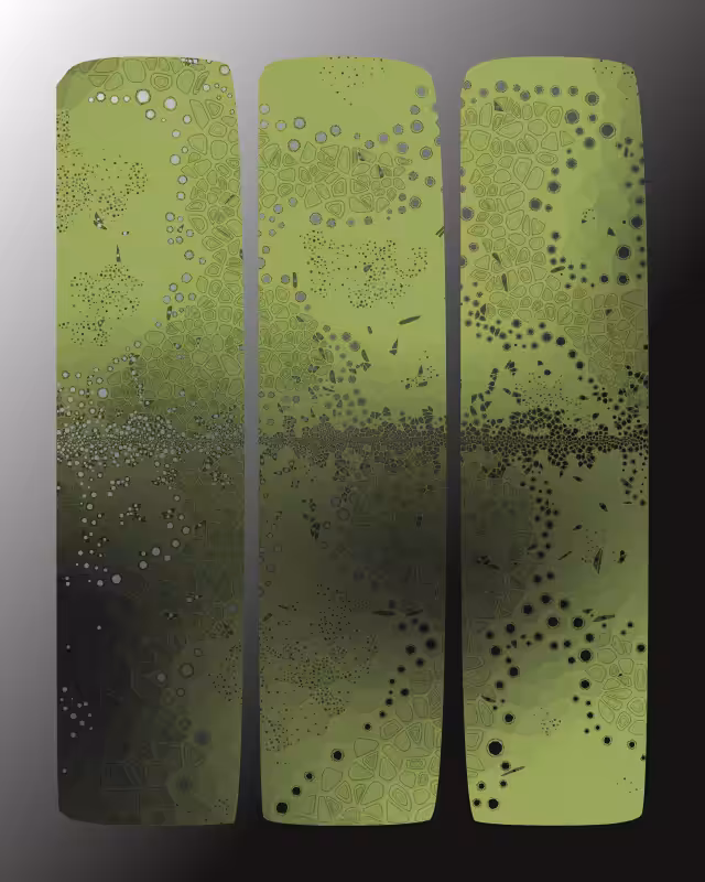 Perforations #64