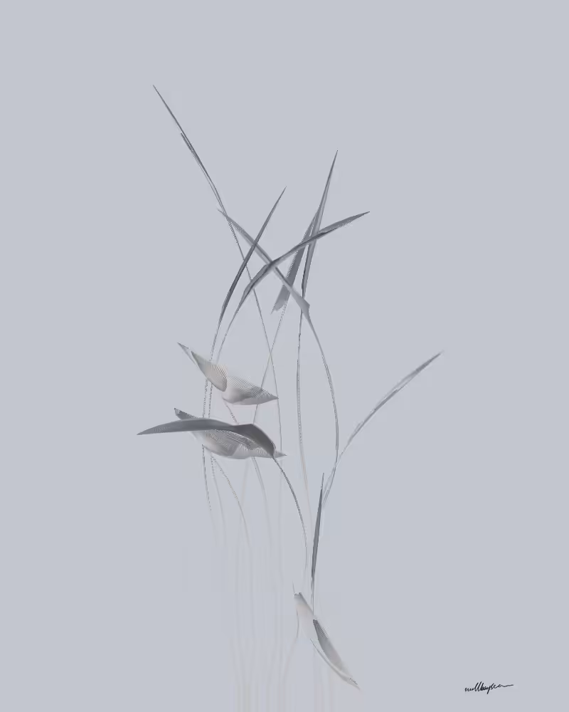 InBloom #114