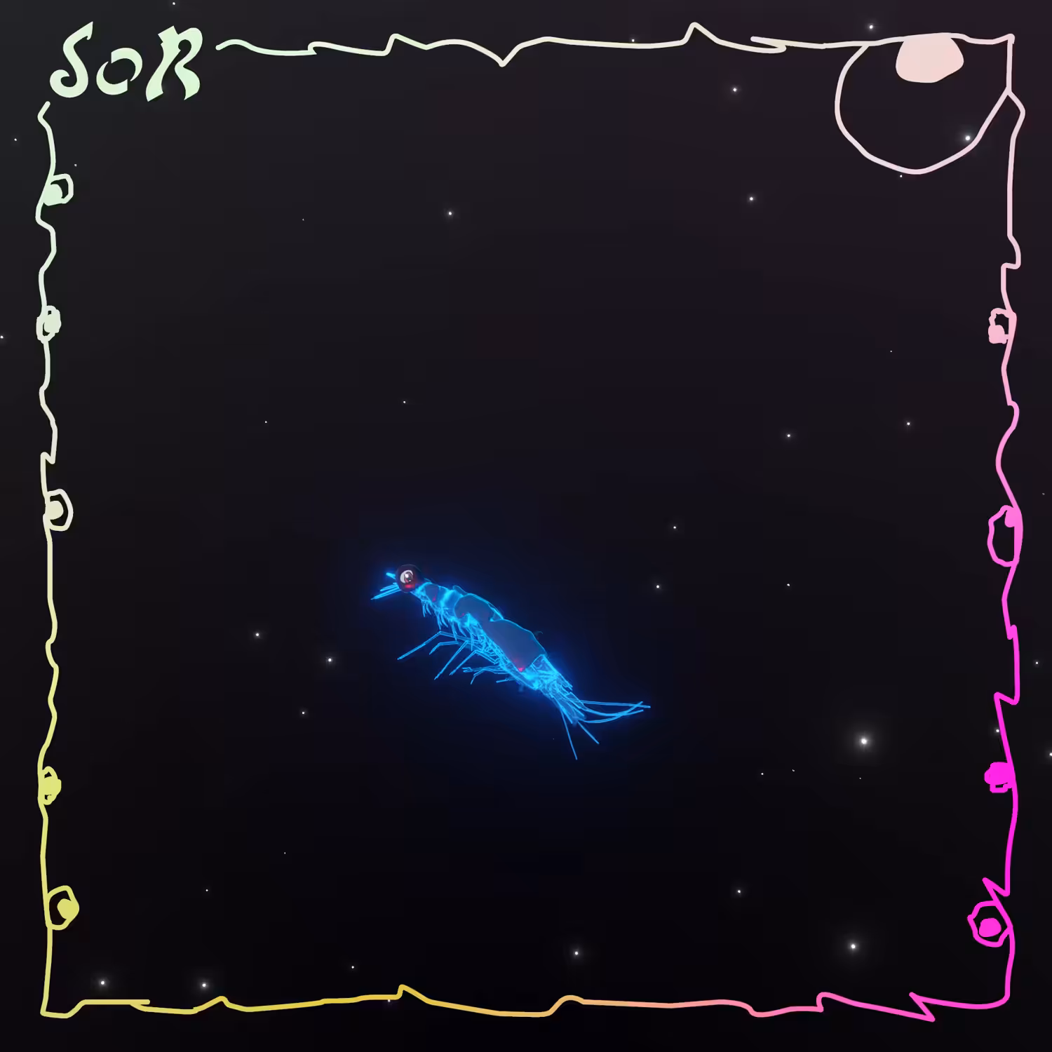 Shrimp #453