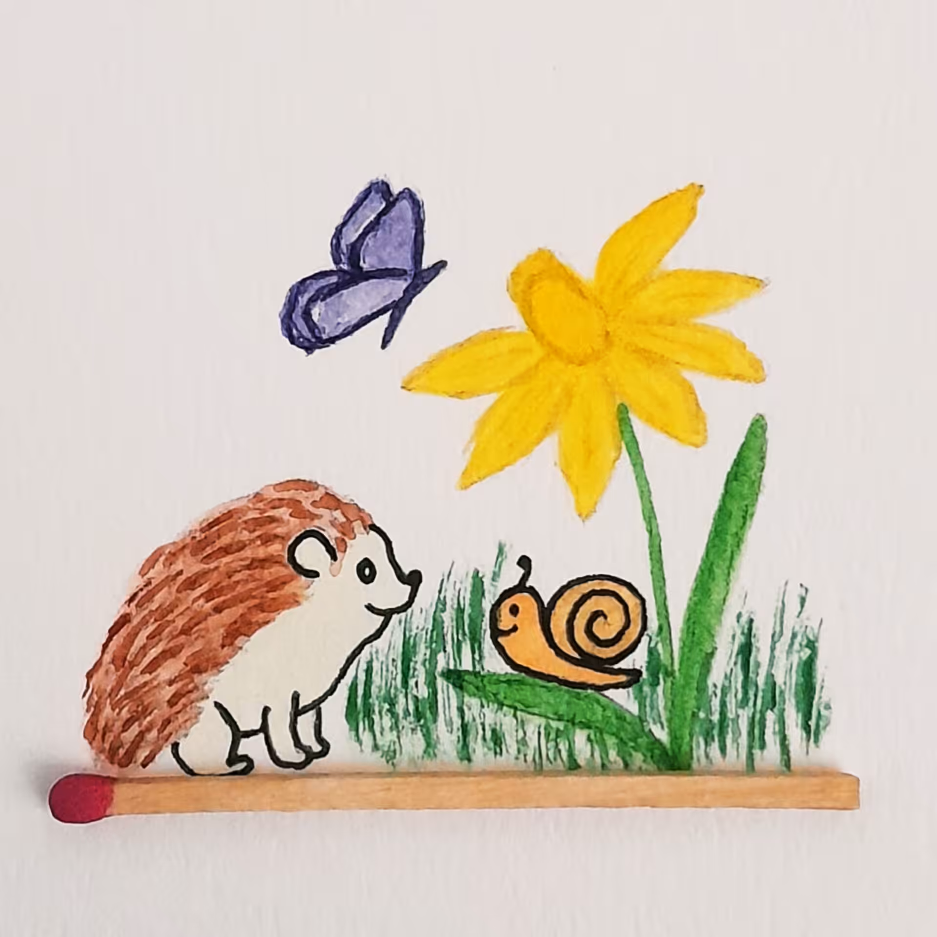 Hedgehog 1