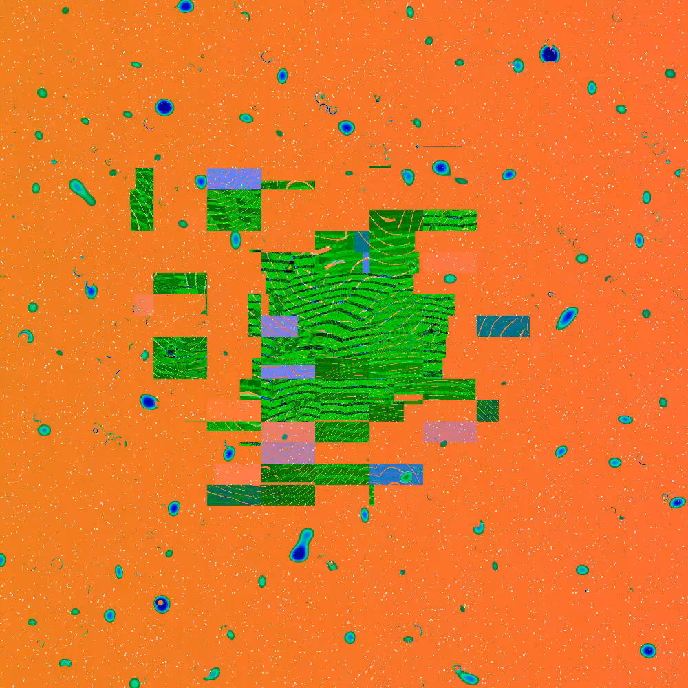 Seed and Spores #12