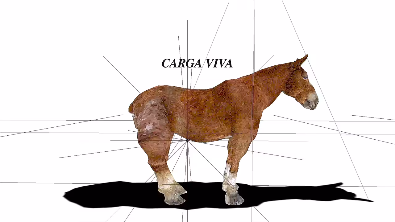 CARGA VIVA