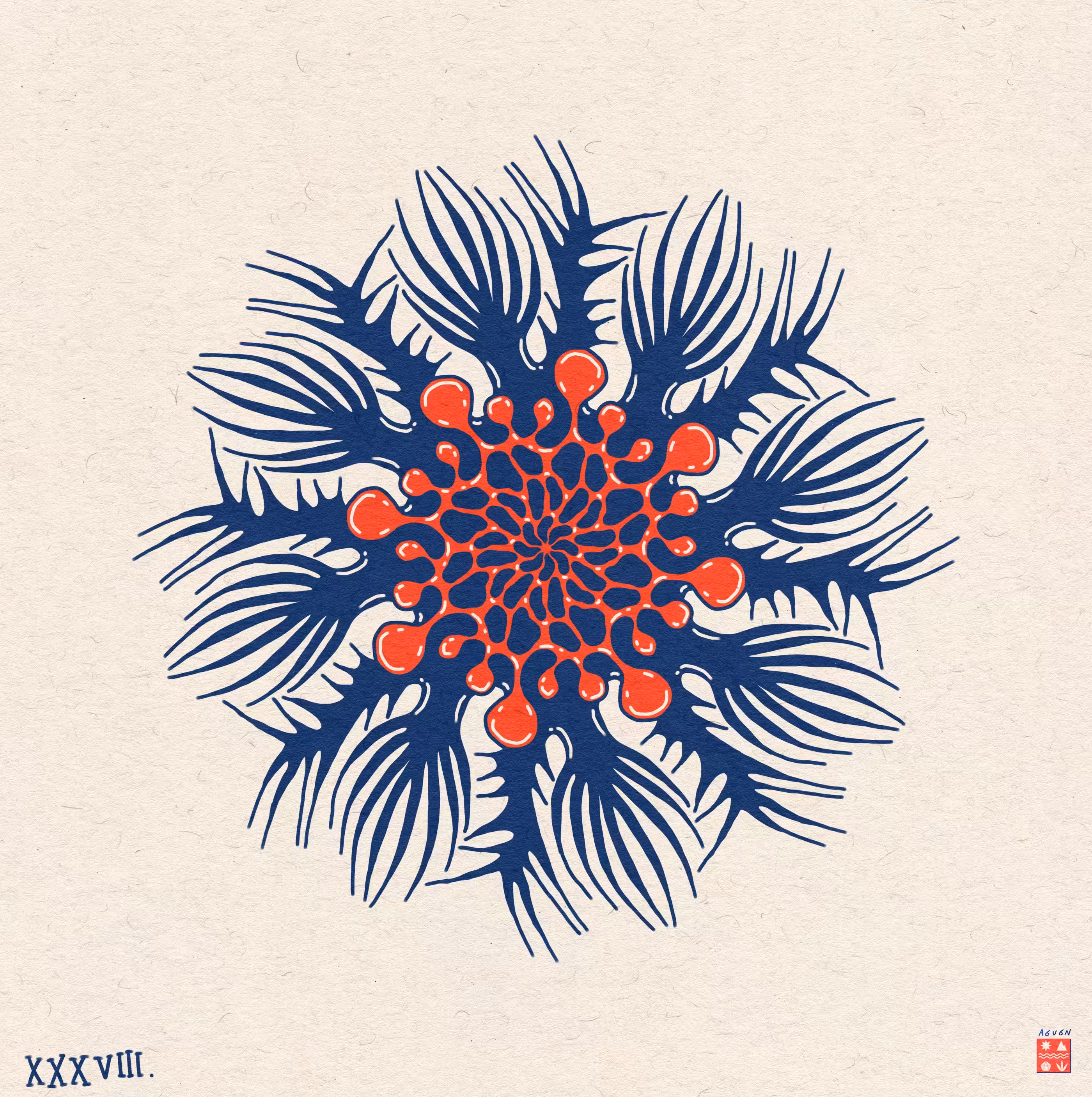 Flash: Cacti
