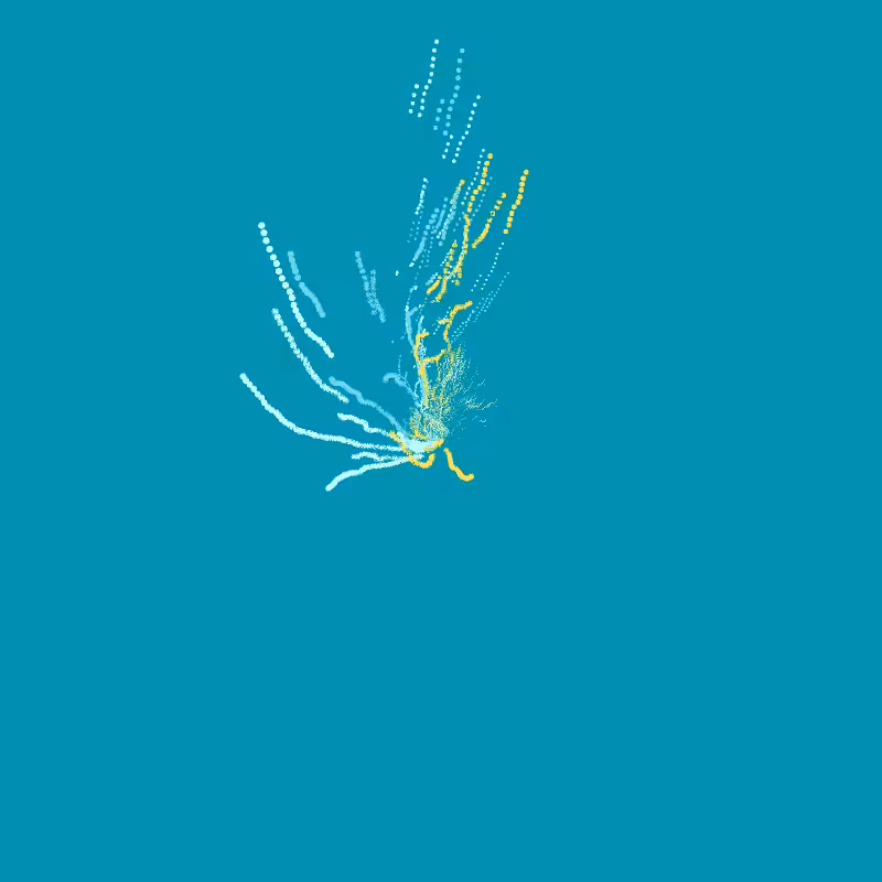 pollocian fibs #5