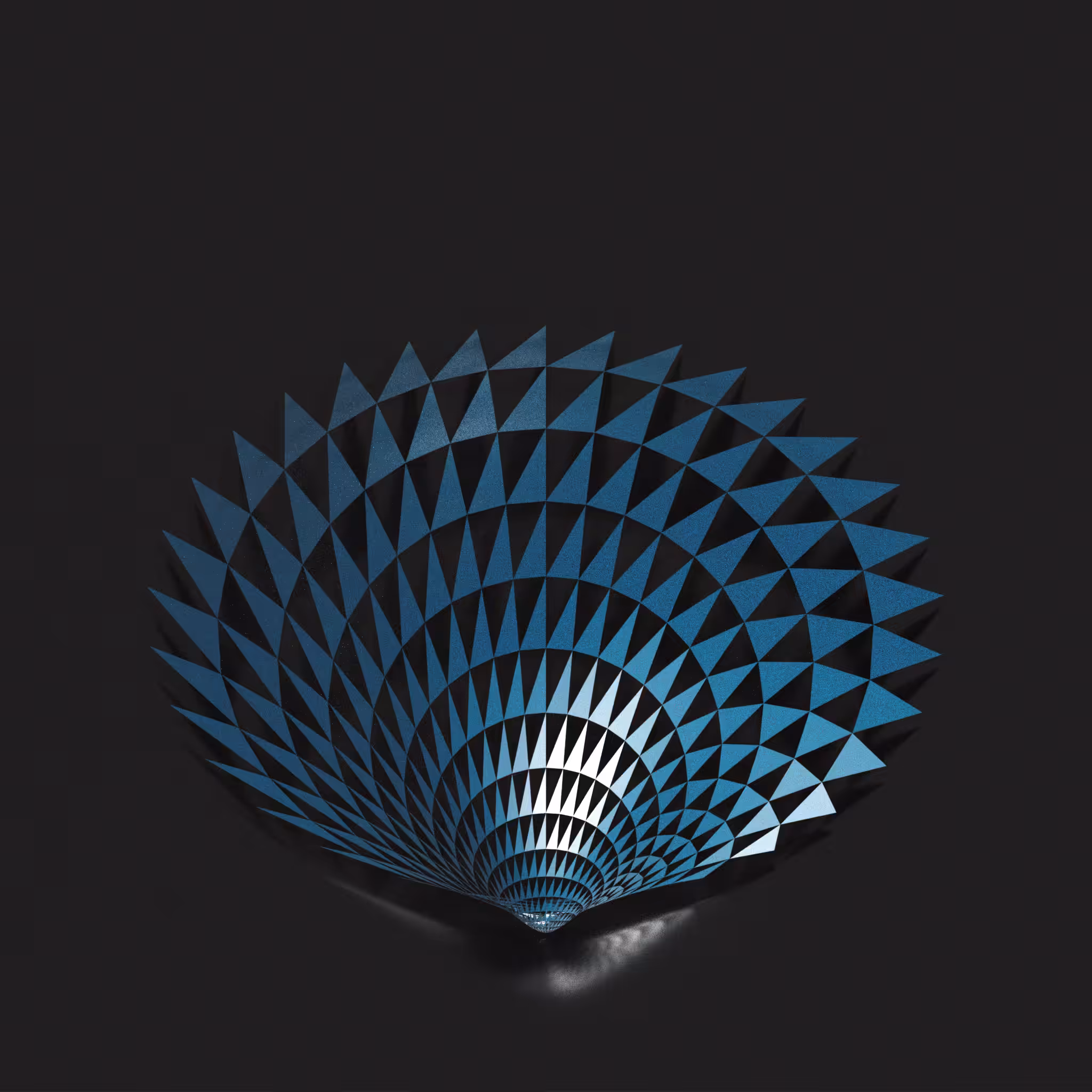 Glycymeris 4