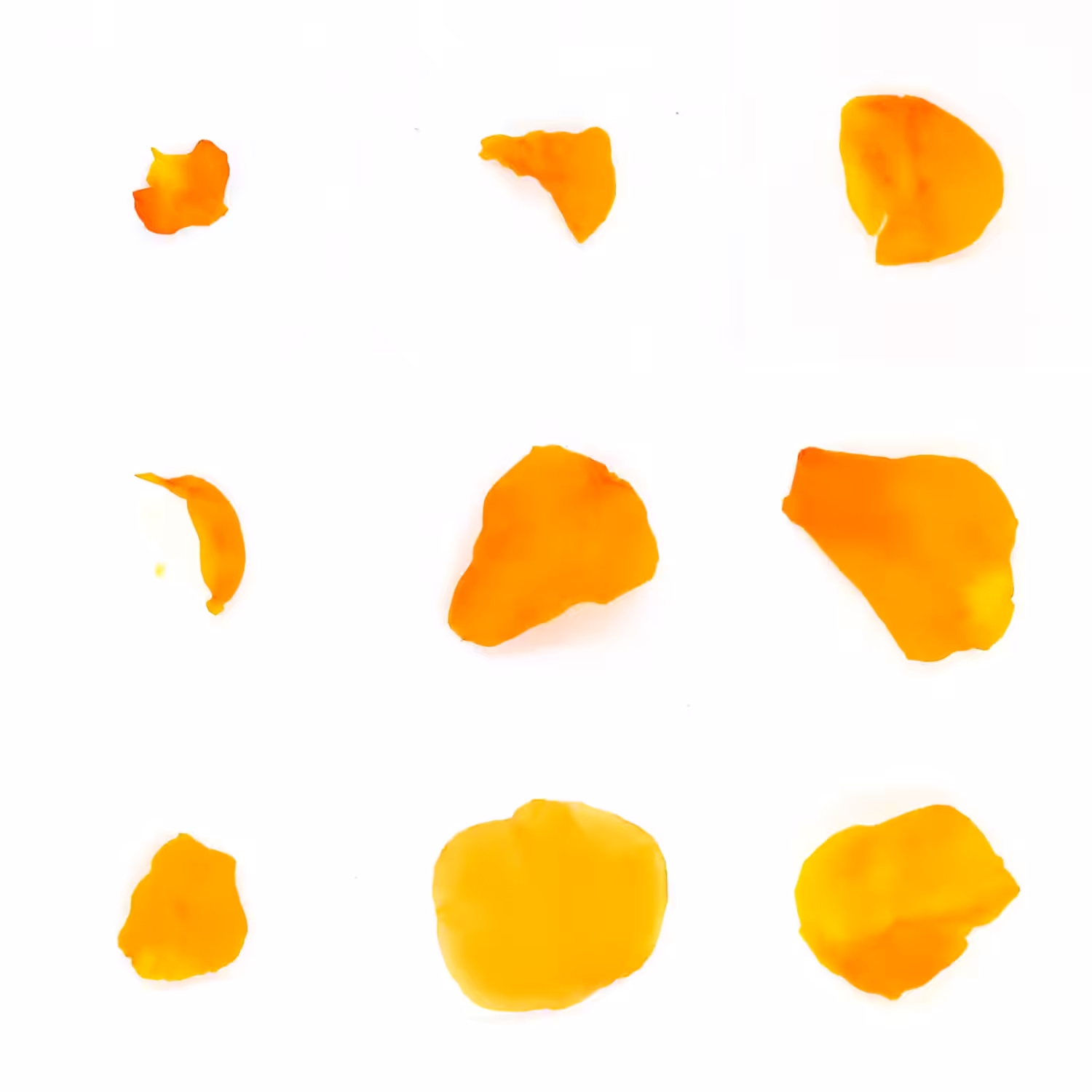 Infinite Petals 3x3#1683