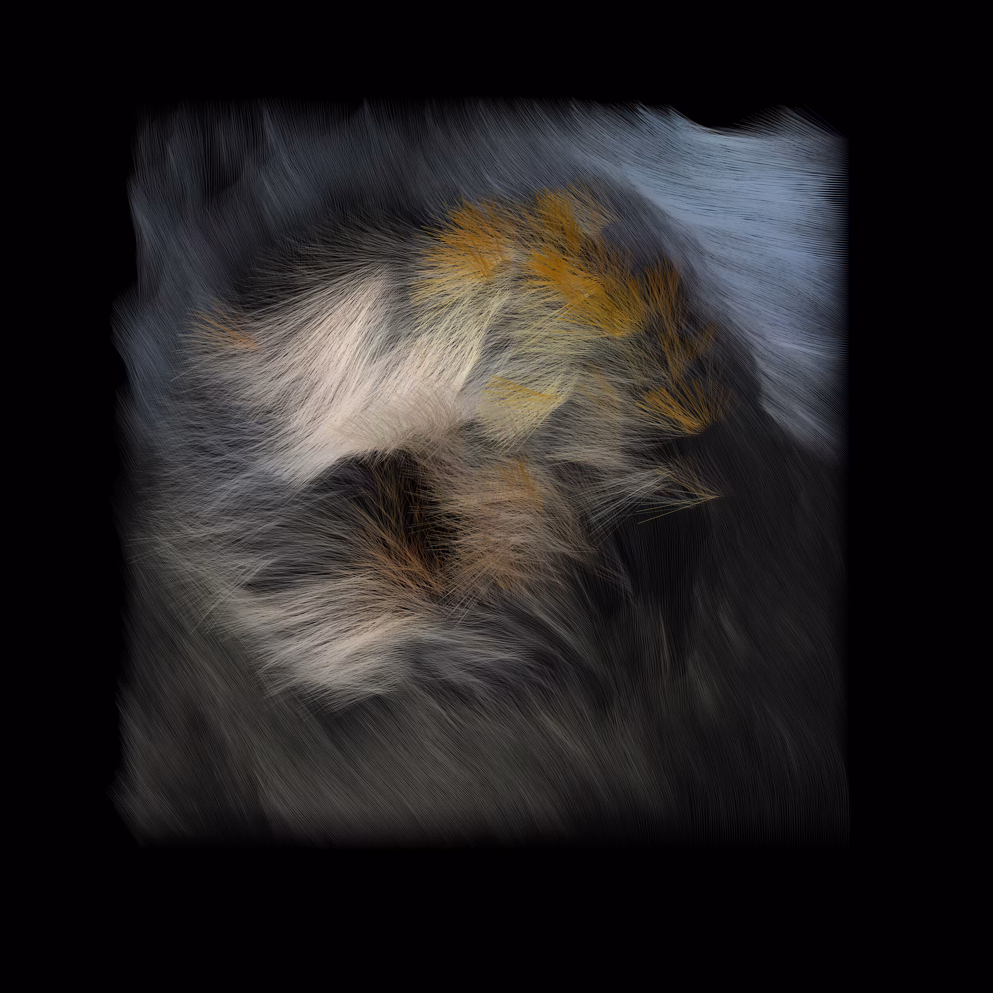 Dandelion (b63o,m,5853,4-20,11,16,16,37,2-c)