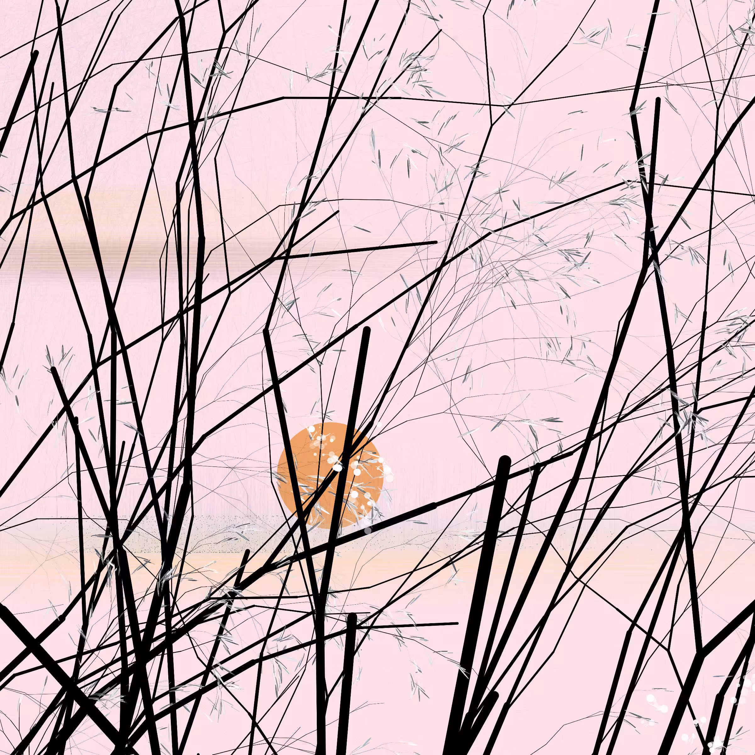 conversation with the wind #336