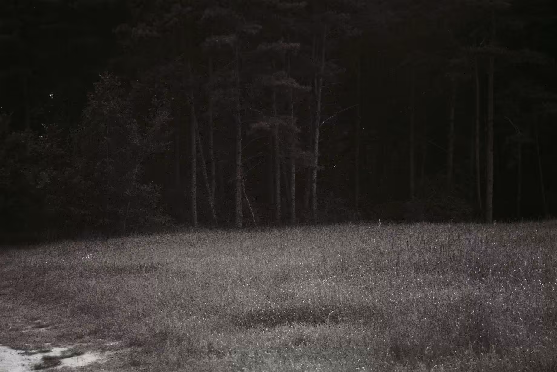 Ominous Peace