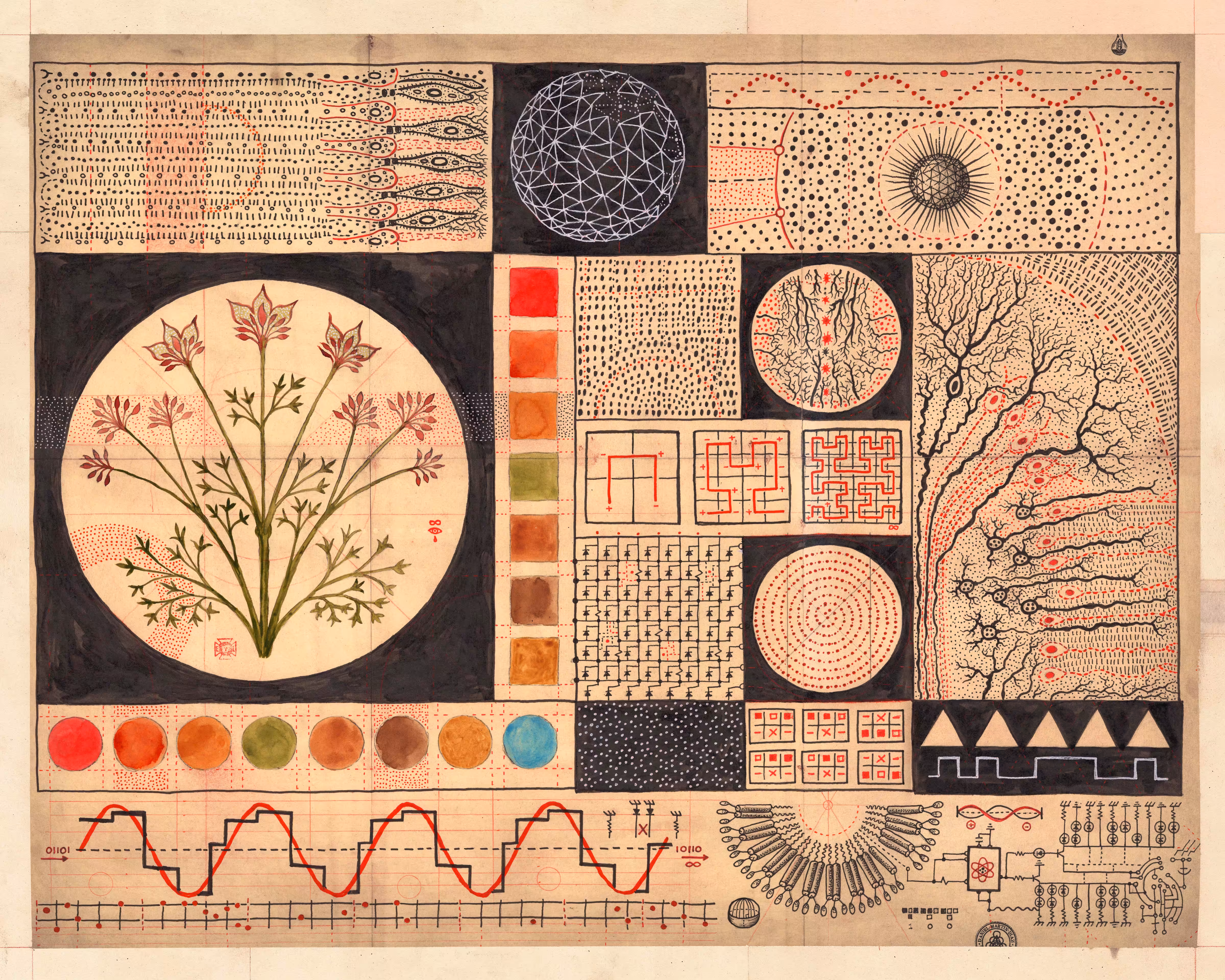 Digital Biology