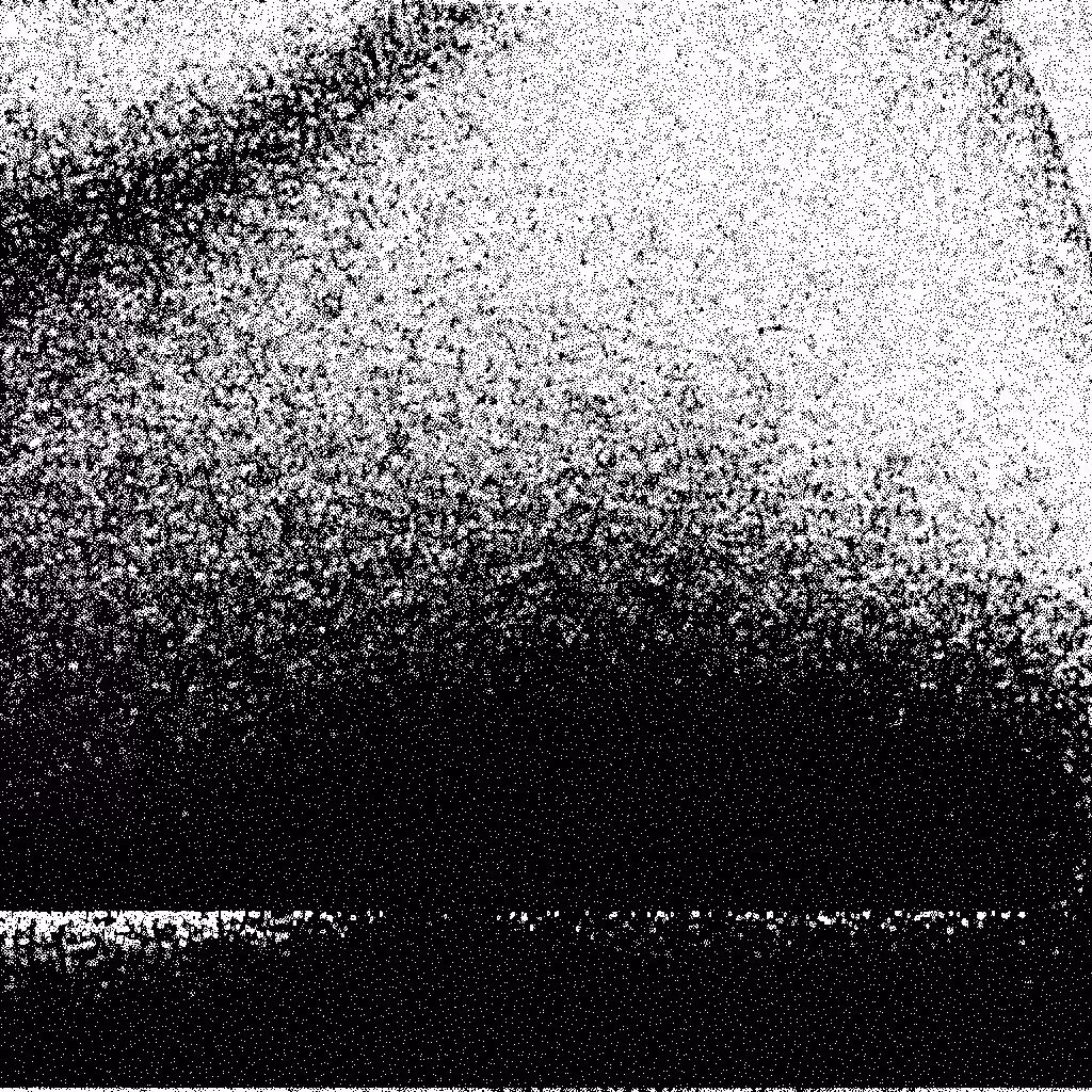 Noise #485 