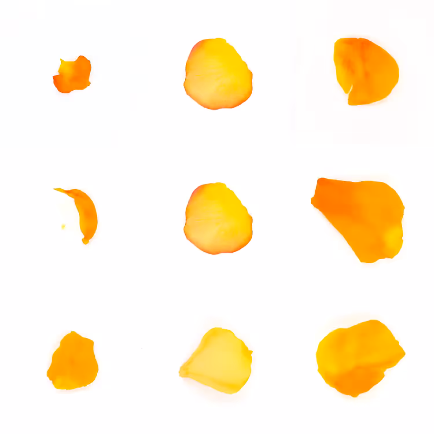 Infinite Petals 3x3#581