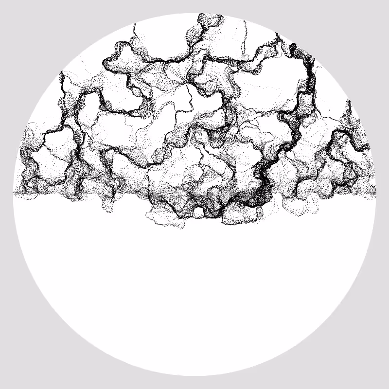 mush-lands #10