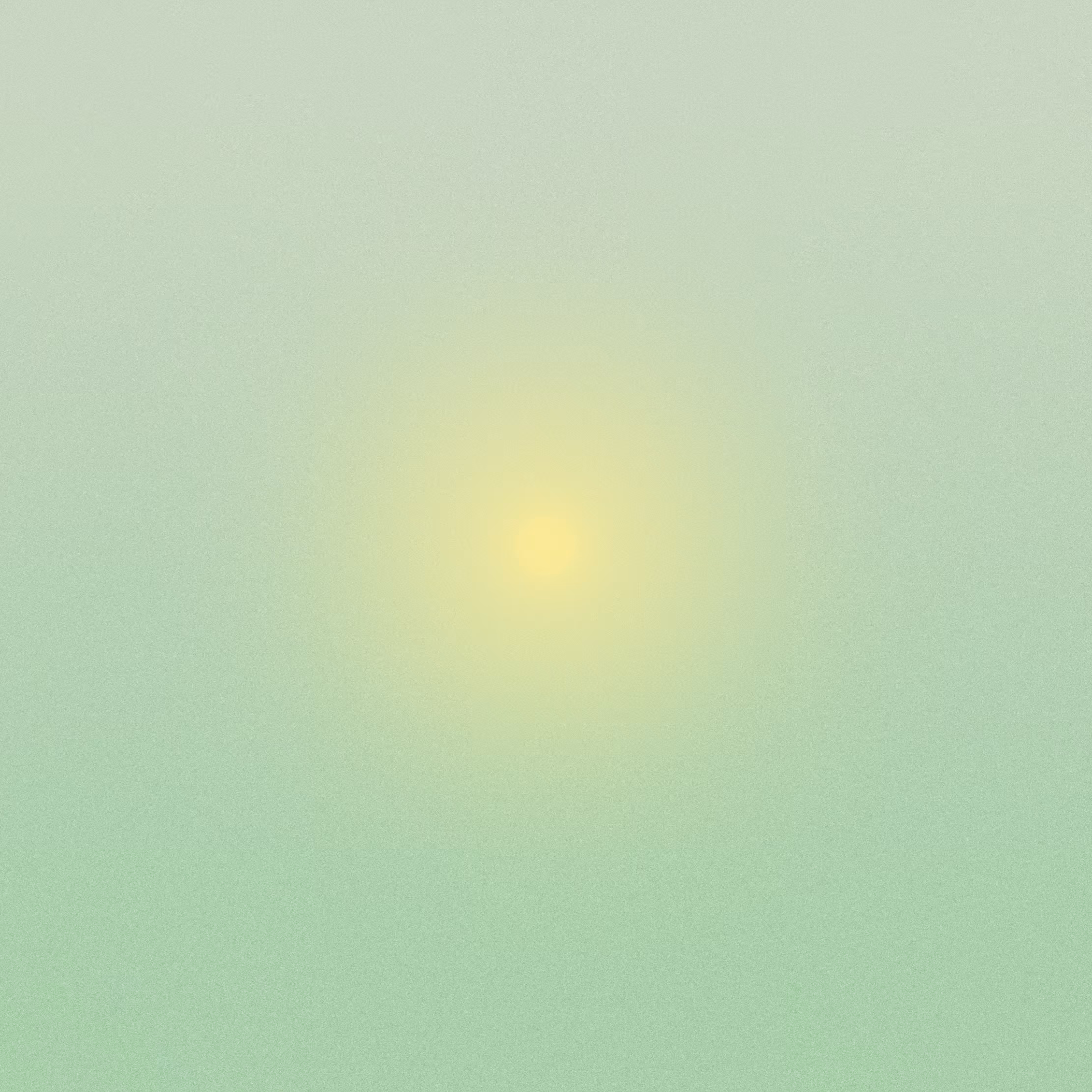 with the light 31