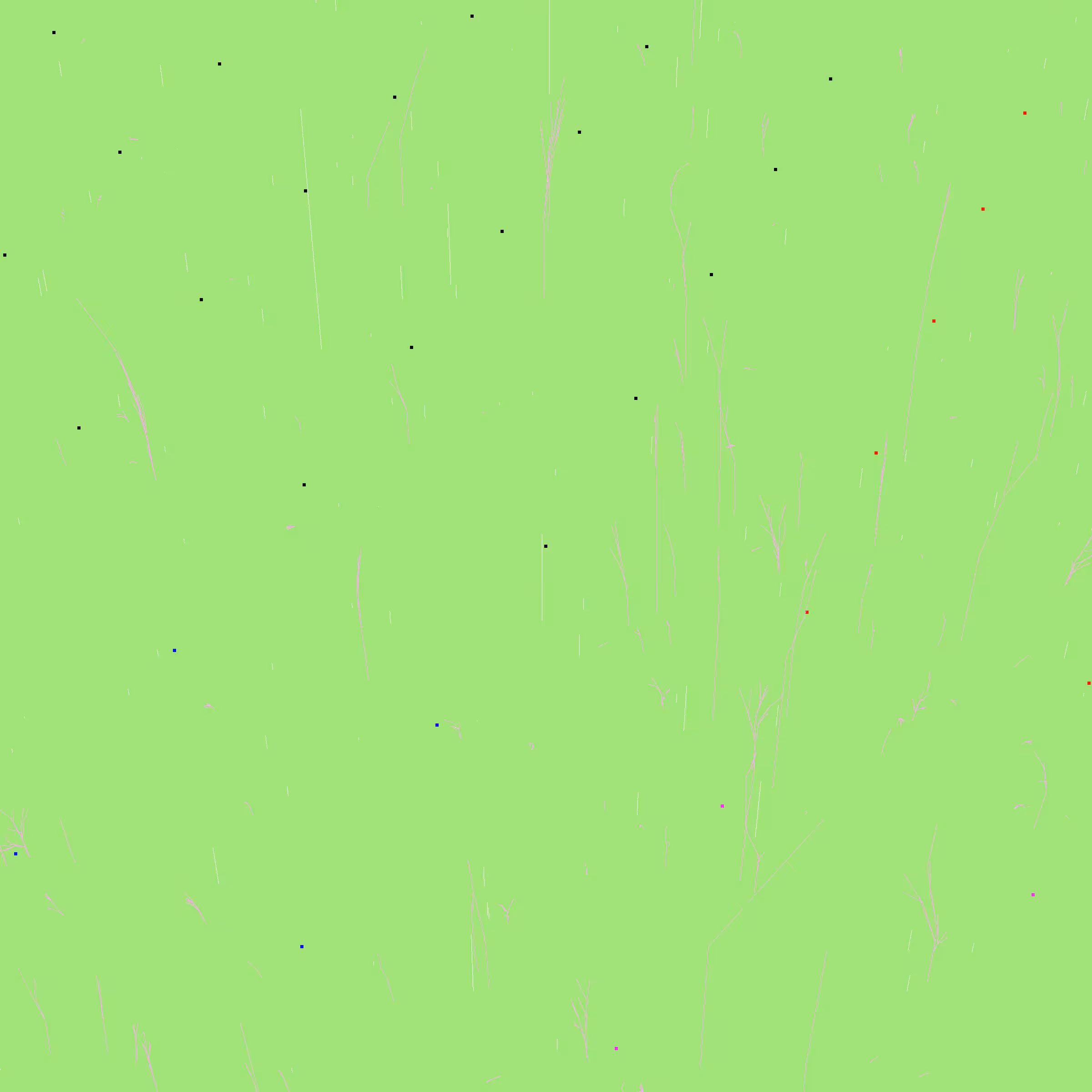 Infinite Garden: 2152 Flowers