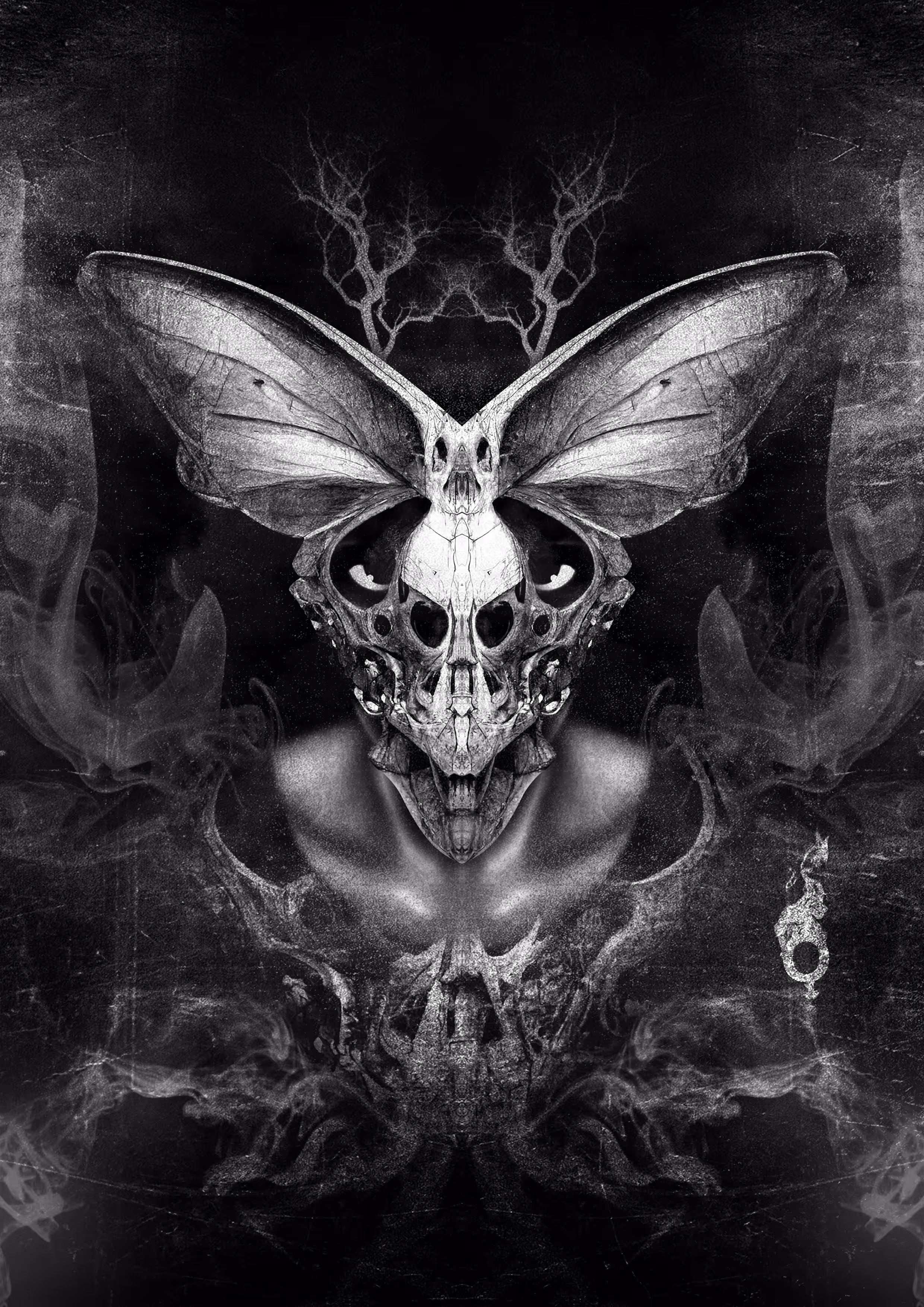 Behind the Butterfly Mask