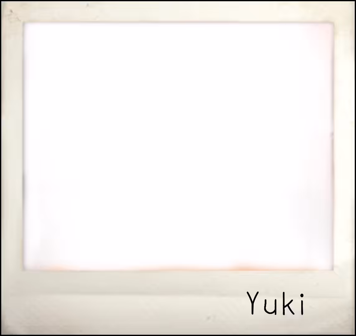 Yuki  the Cat Polaroid