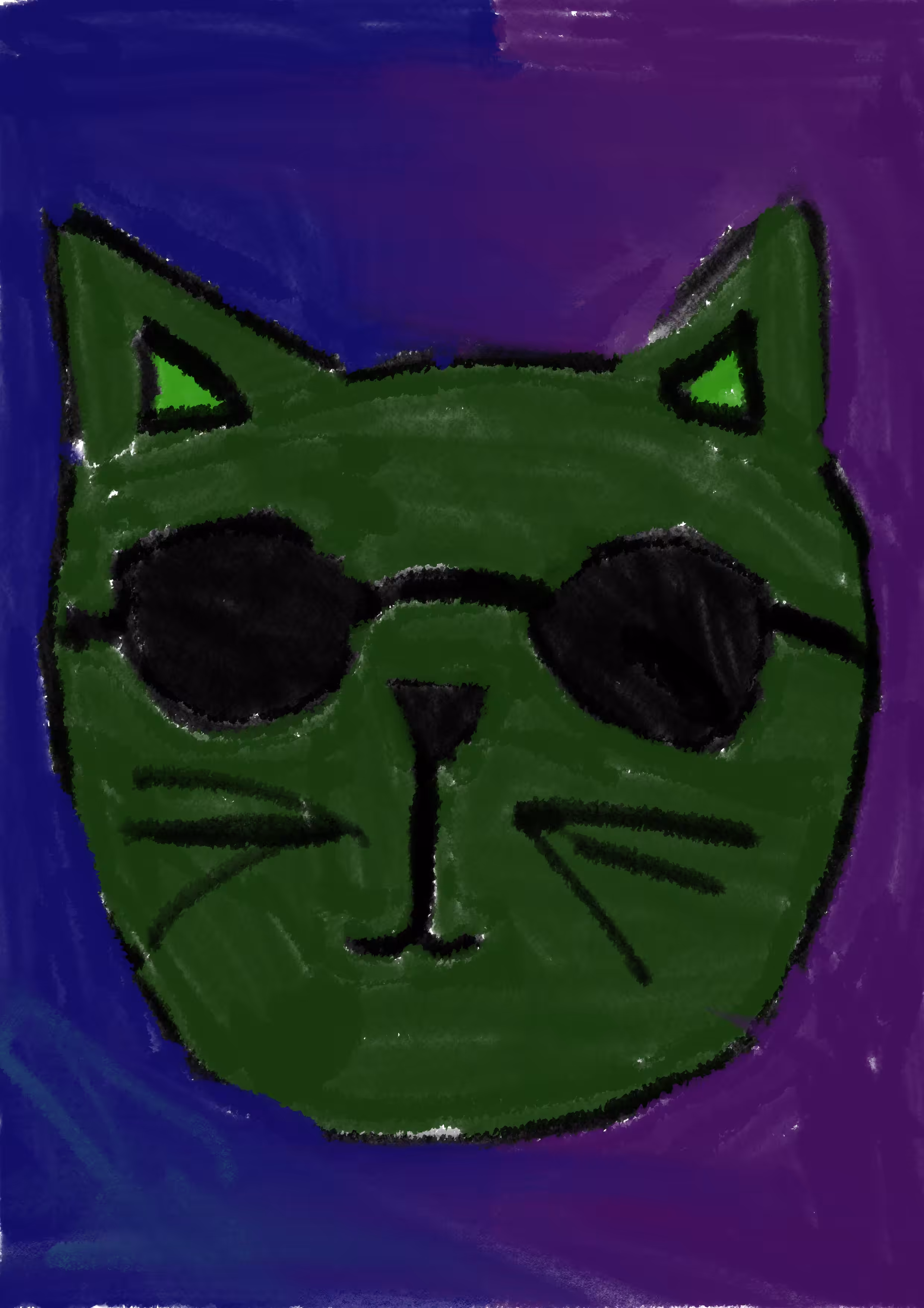 Weird Cat