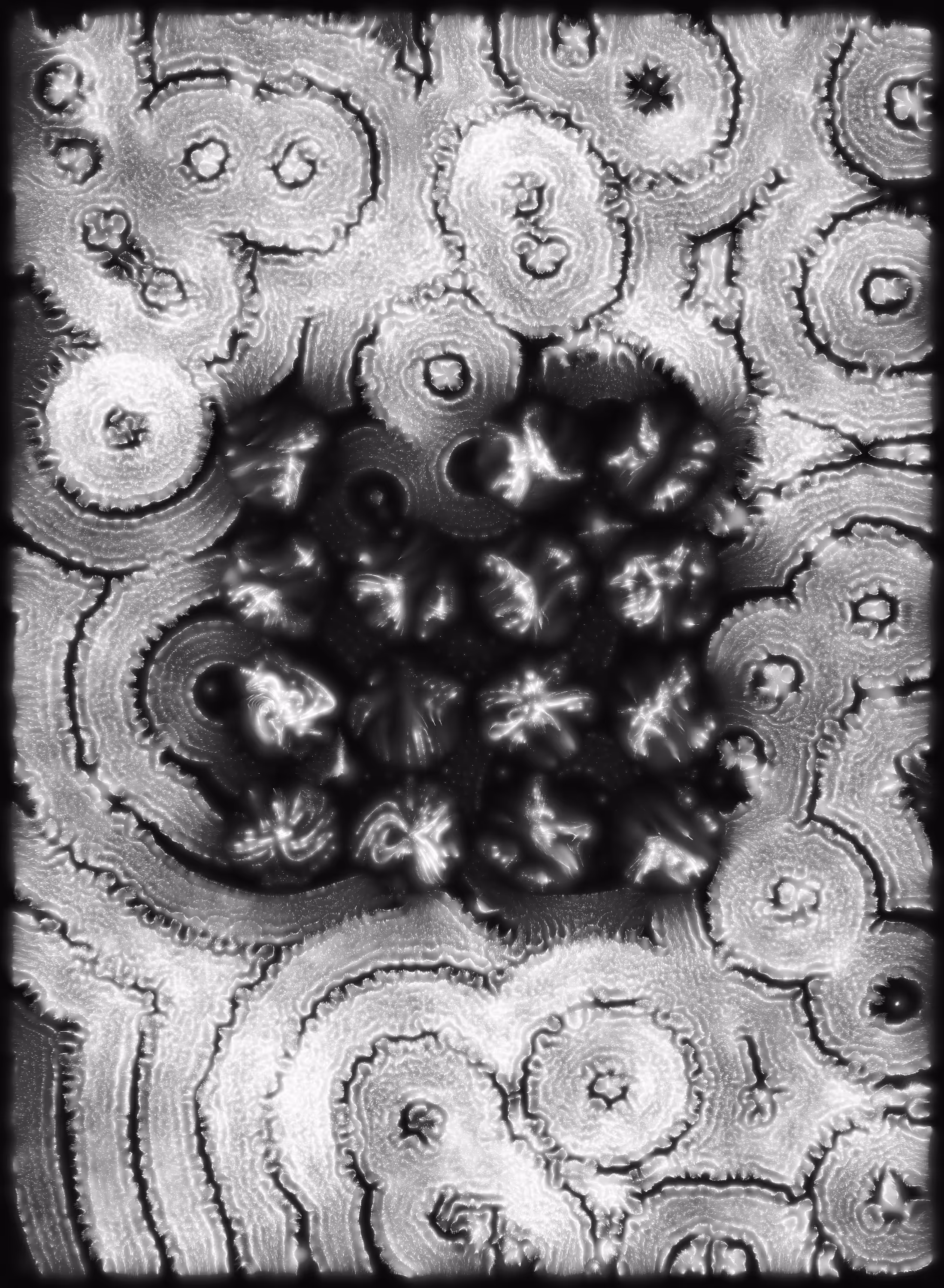 Holons #498