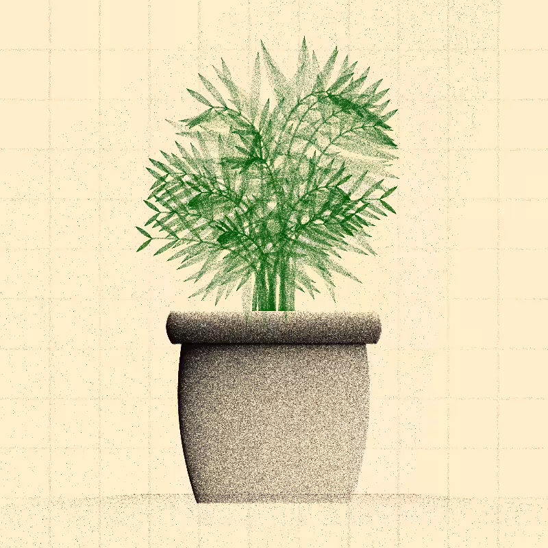 🌱 Potted & Printed #312