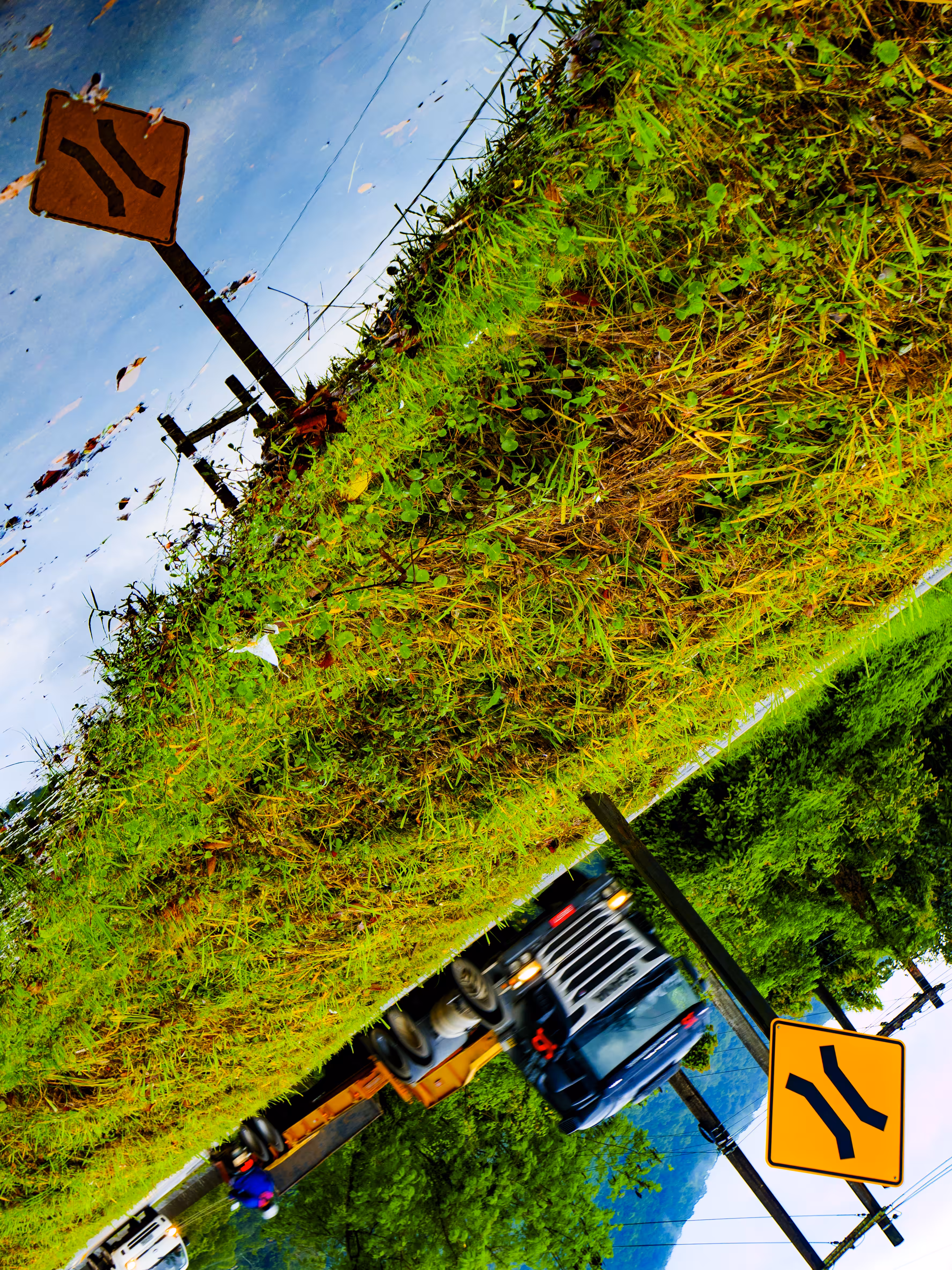 Disoriented-Road#4