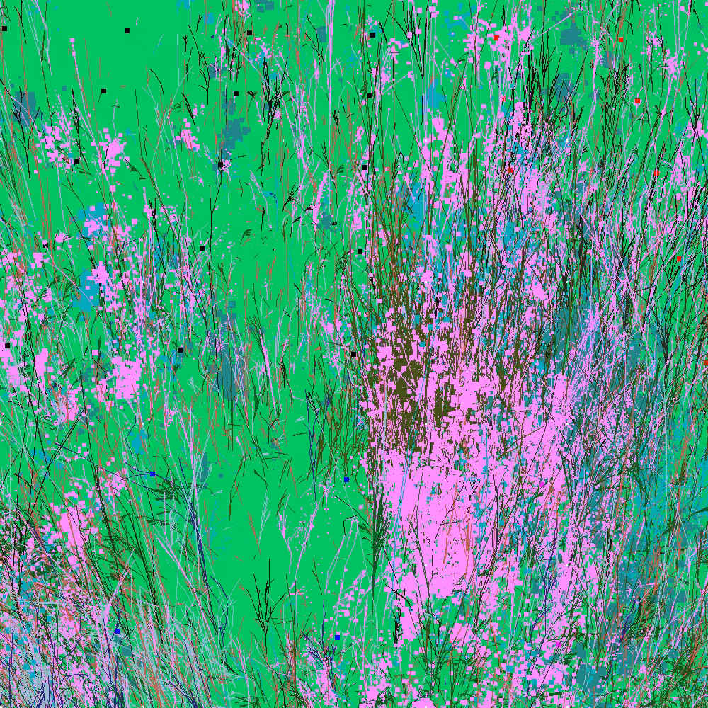 Infinite Garden: 54145 Flowers
