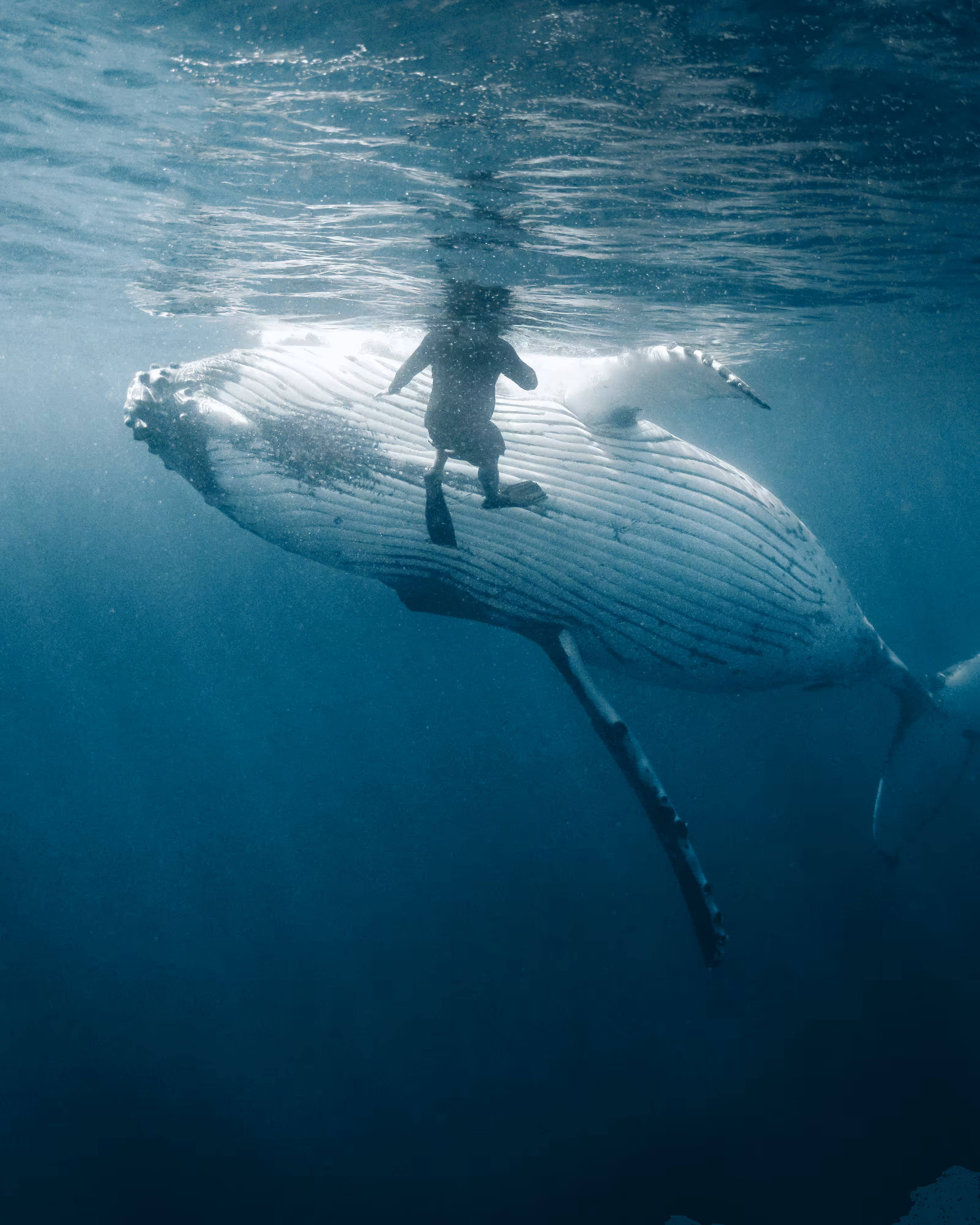"Into The Blue" #2