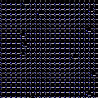 CGA Safari #244
