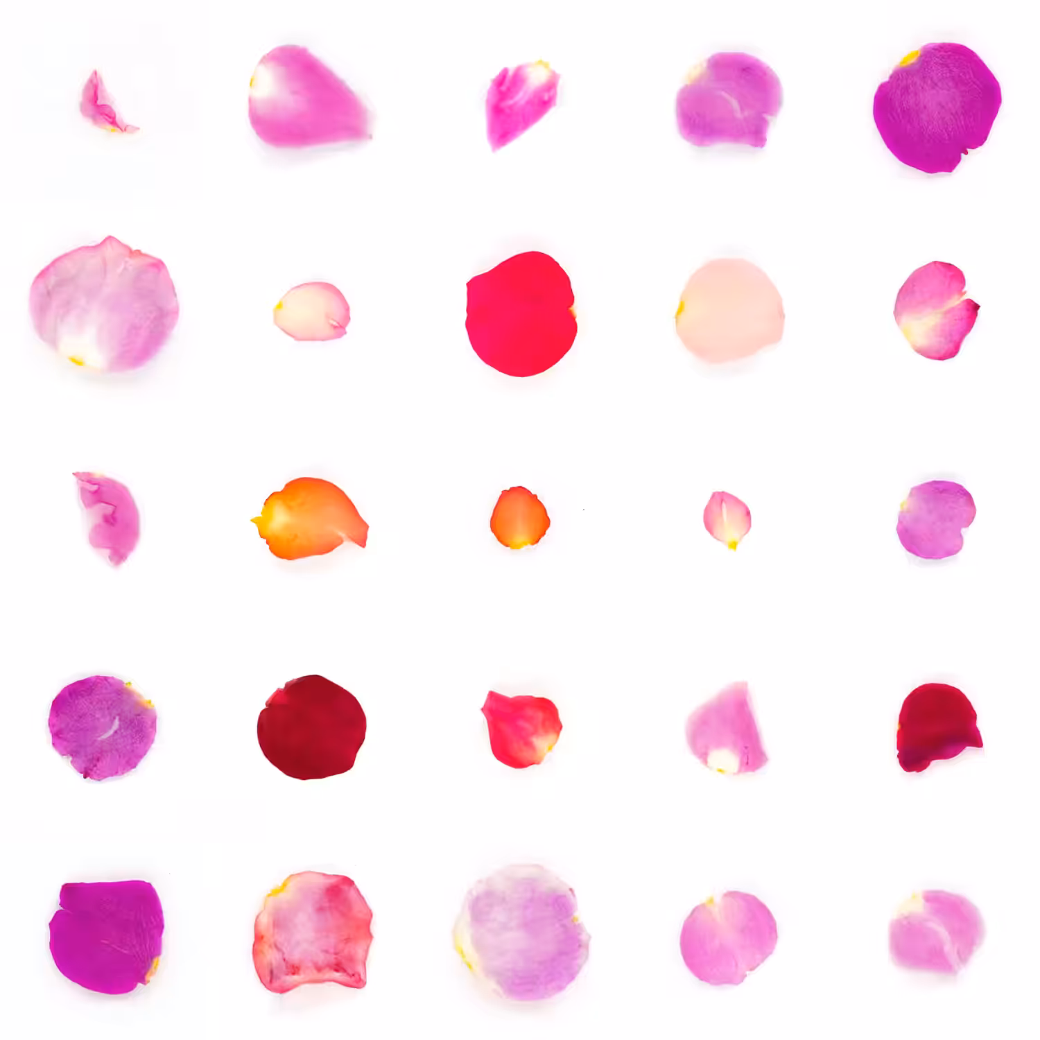 Infinite Petals 5x5#20518