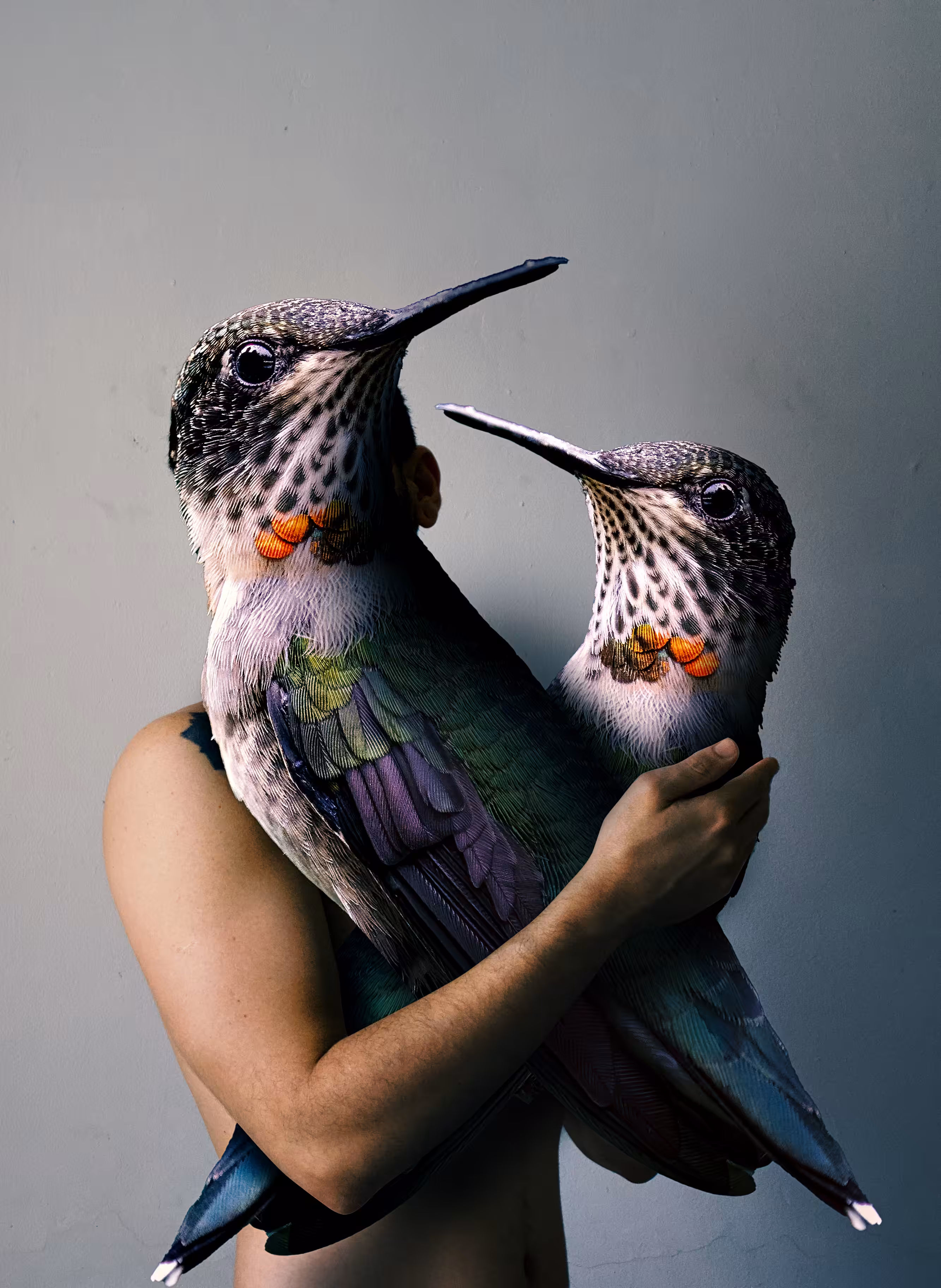 Birdsheart 