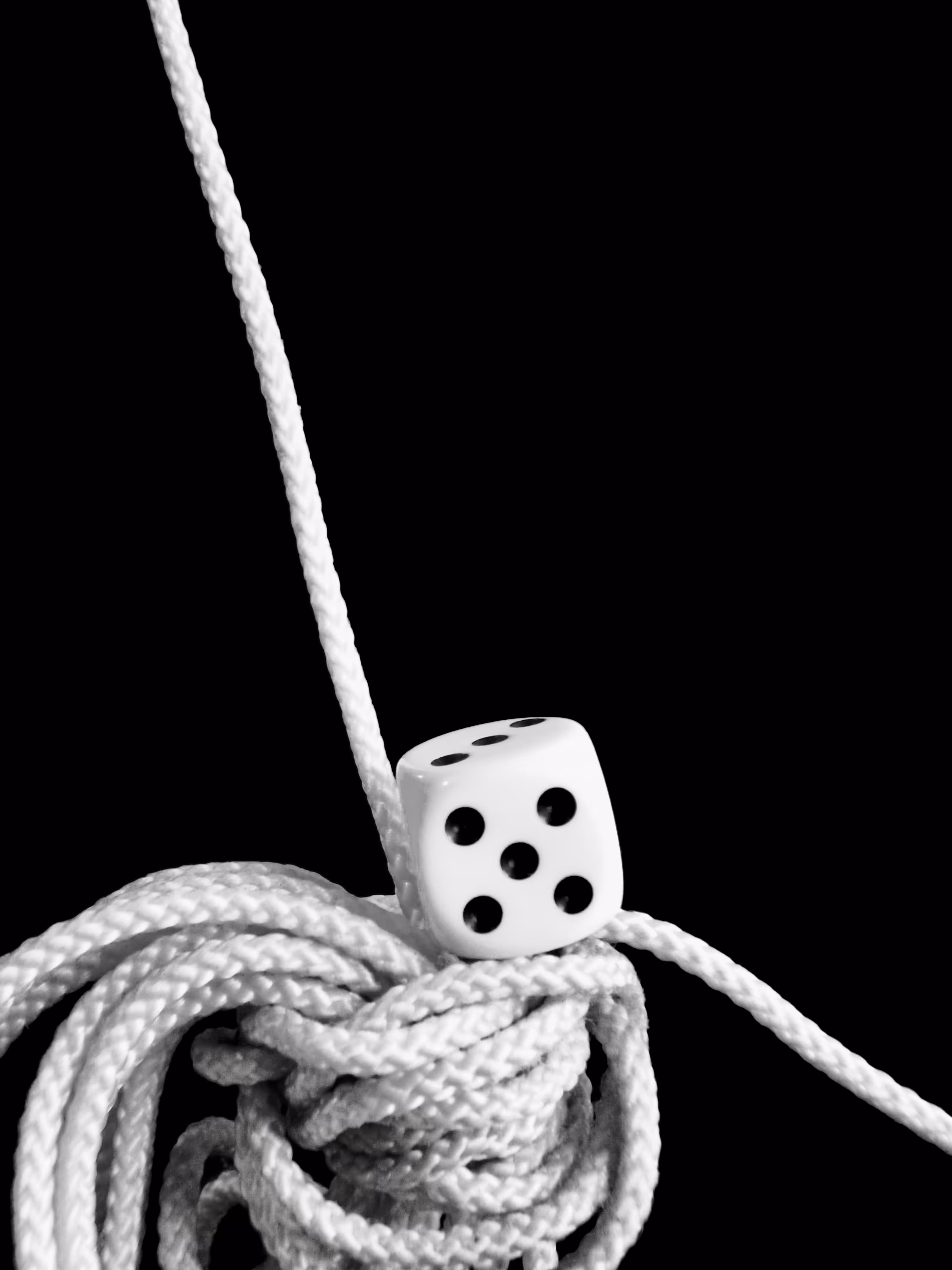 Yarn #5