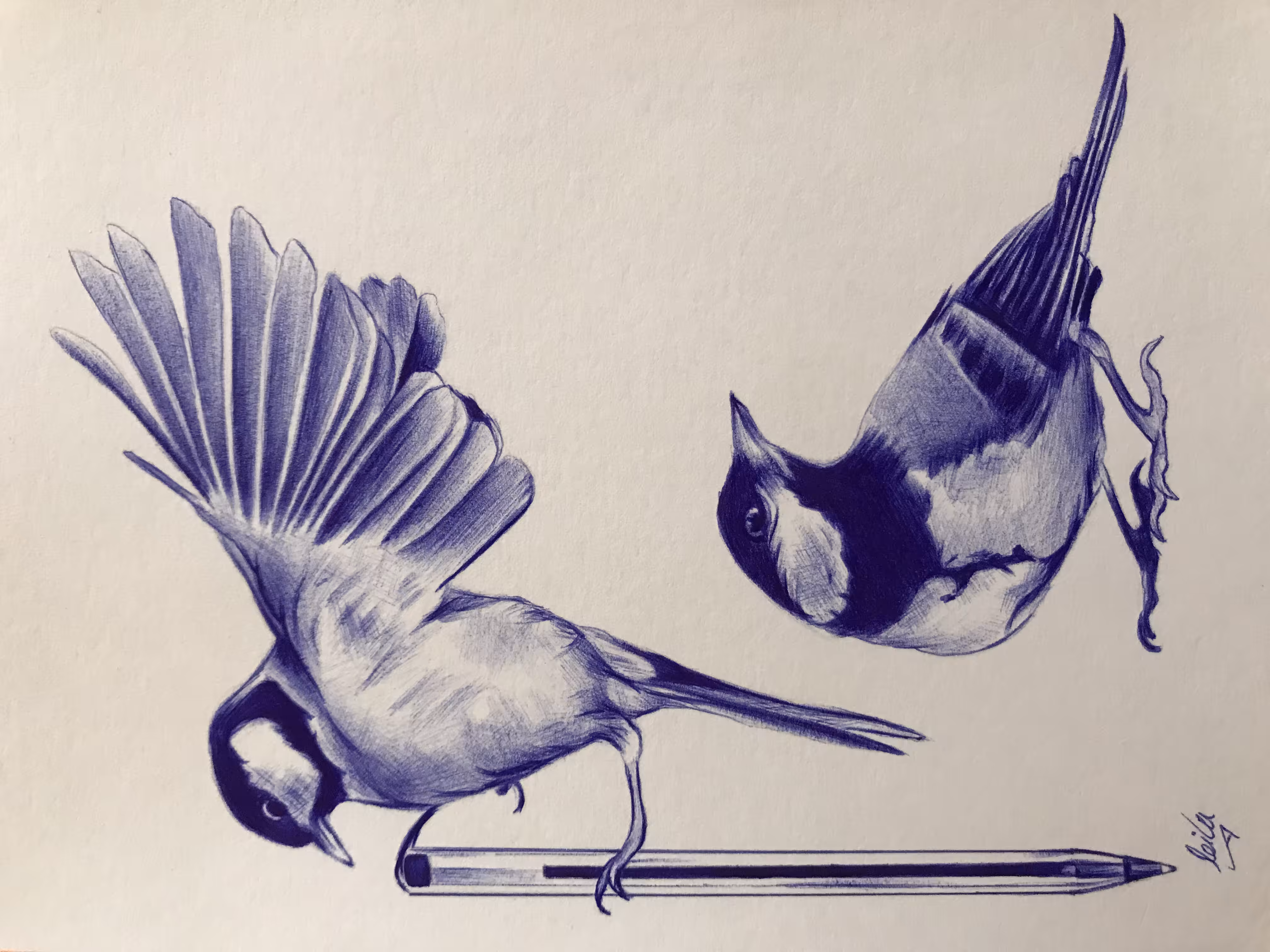 birds and blue ink