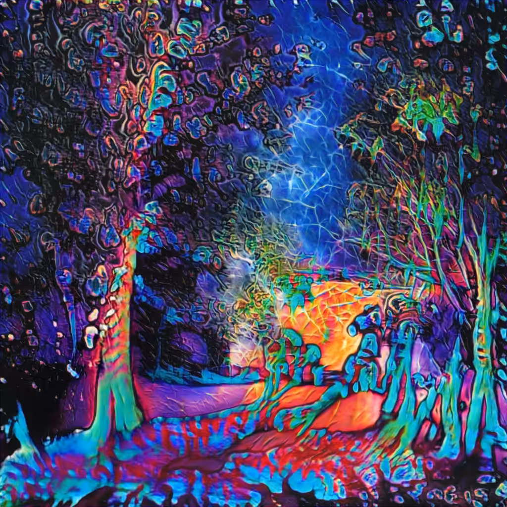 Magical Forest