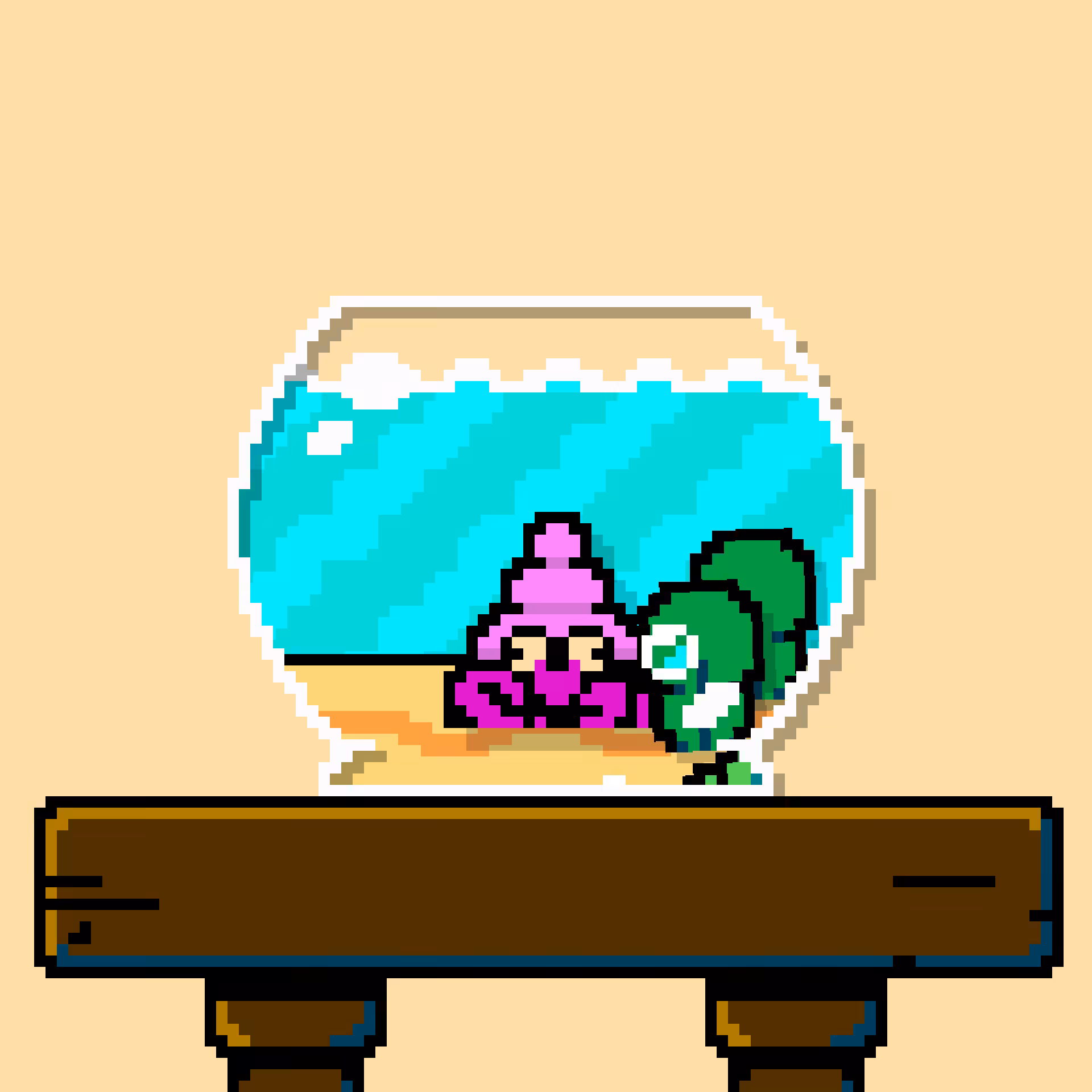 hermit crab #203