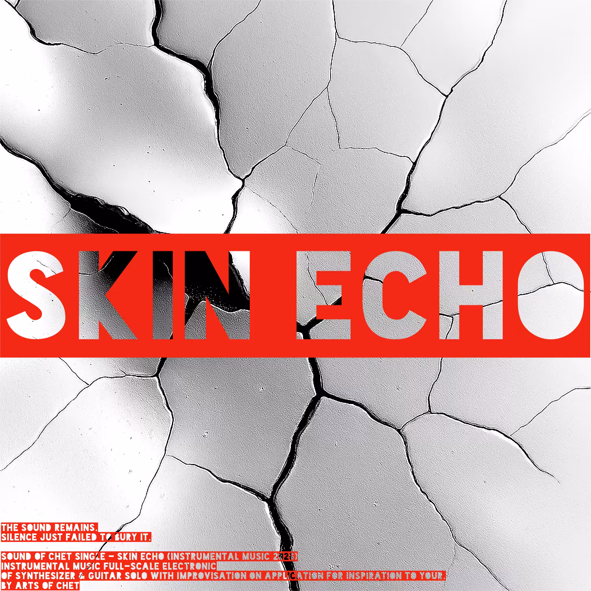 Skin Echo - Single