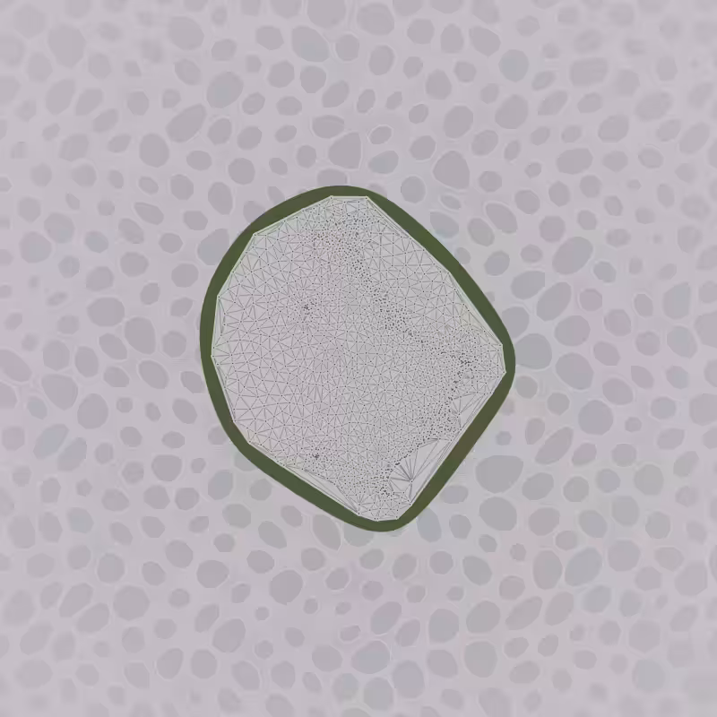 Protista #31