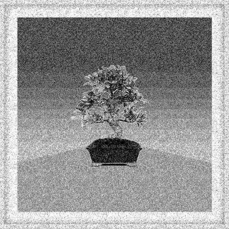 Bonsai Bonanza #100