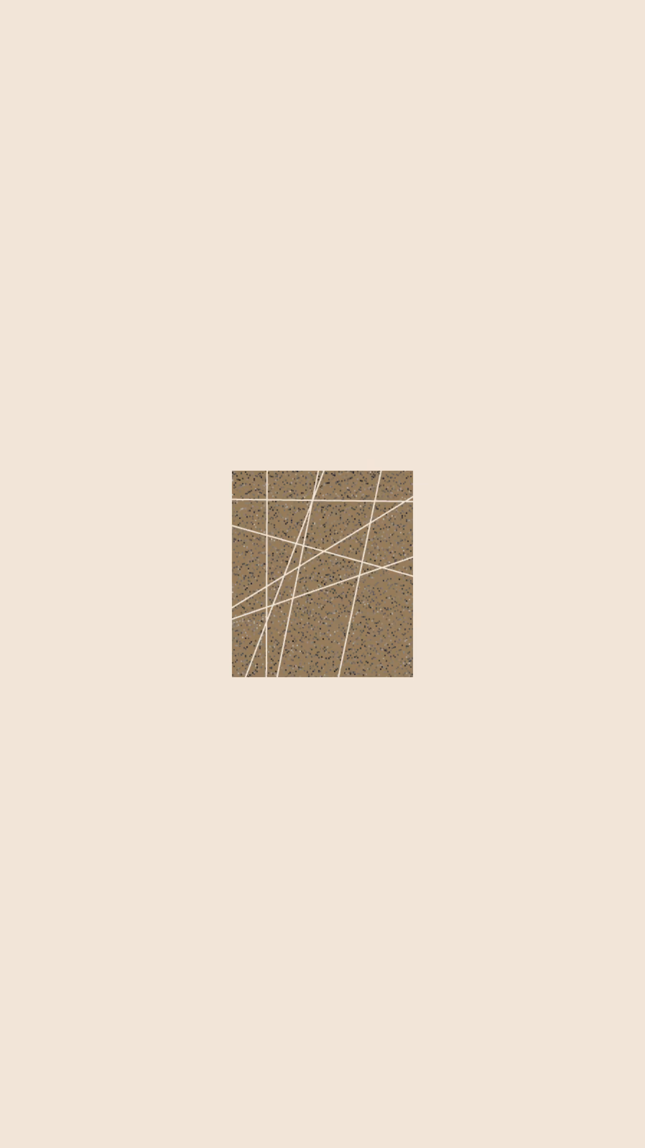 wt 009