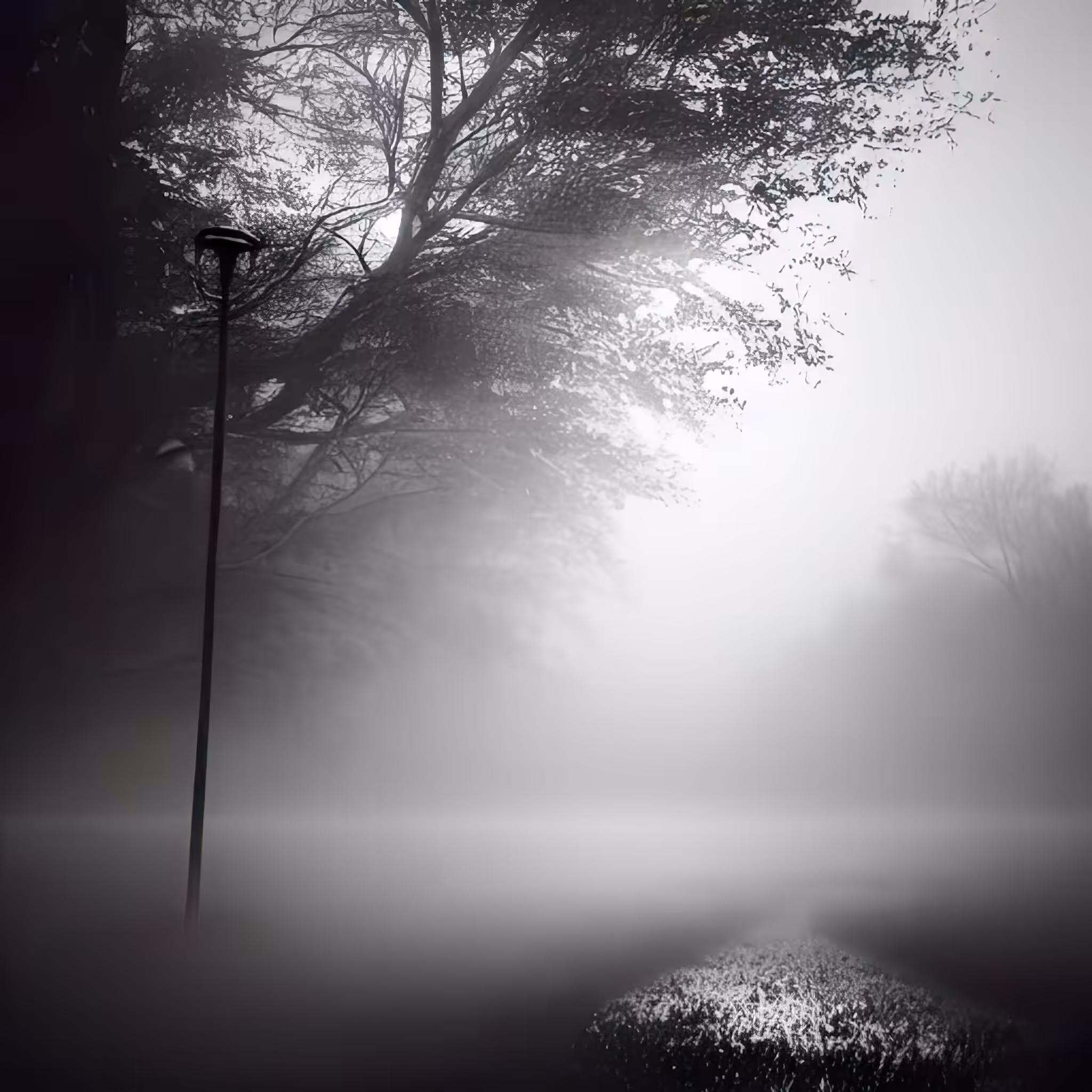 Quiet