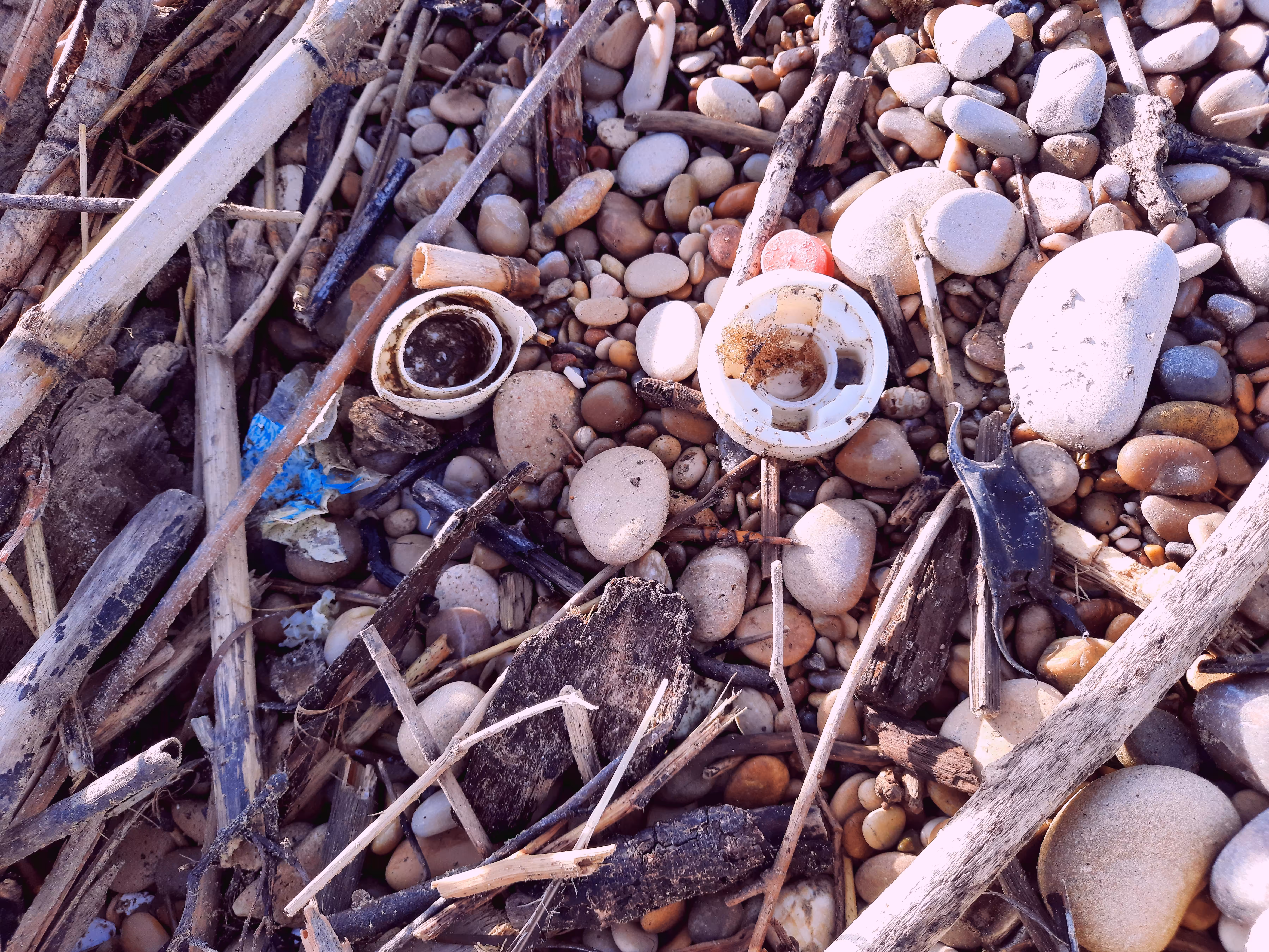 PERIODO PLASTICO #29