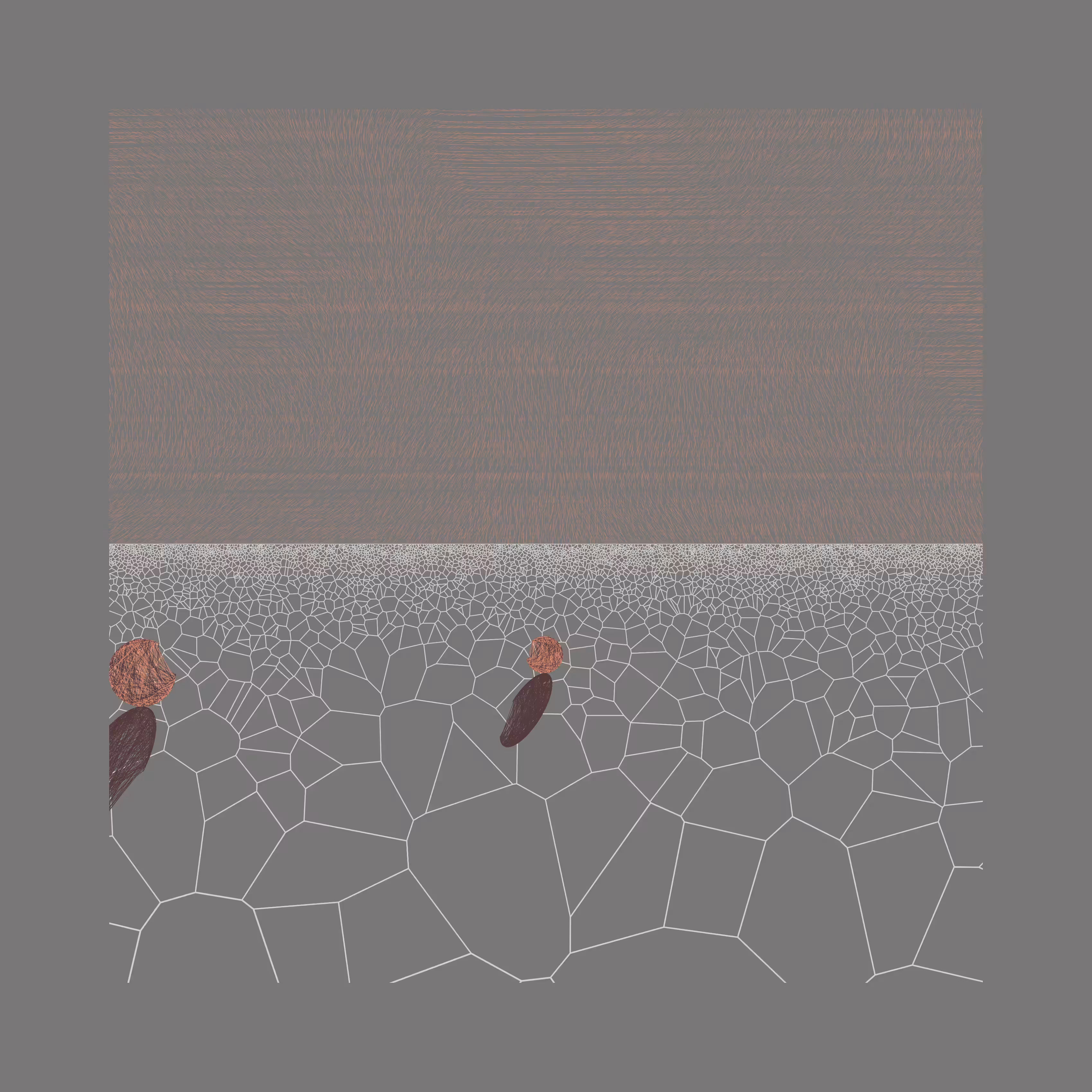 Under a New Sky #46