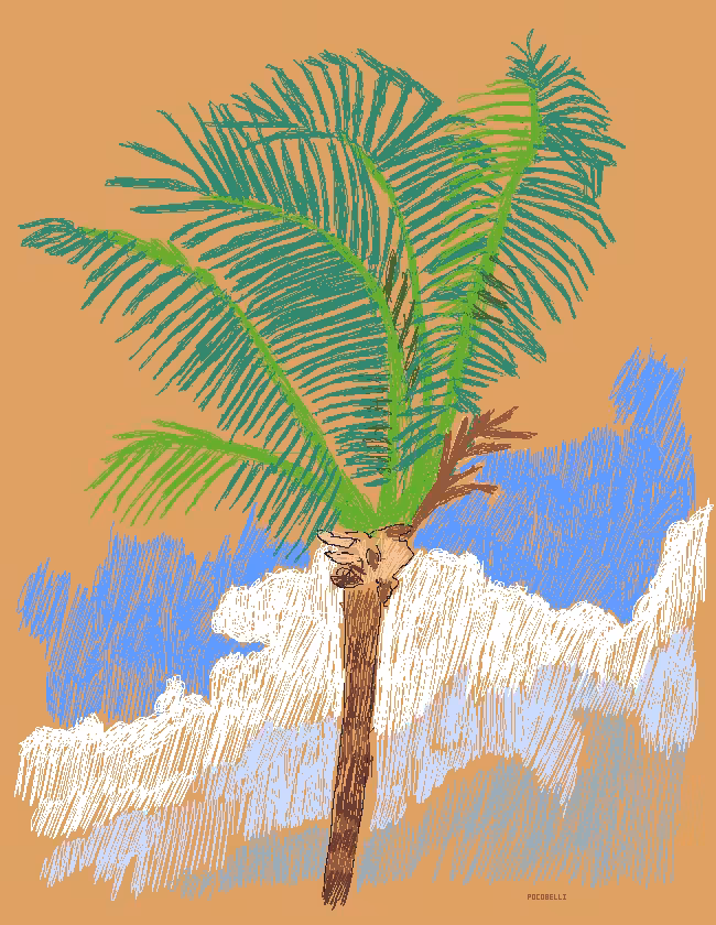Still Lifes