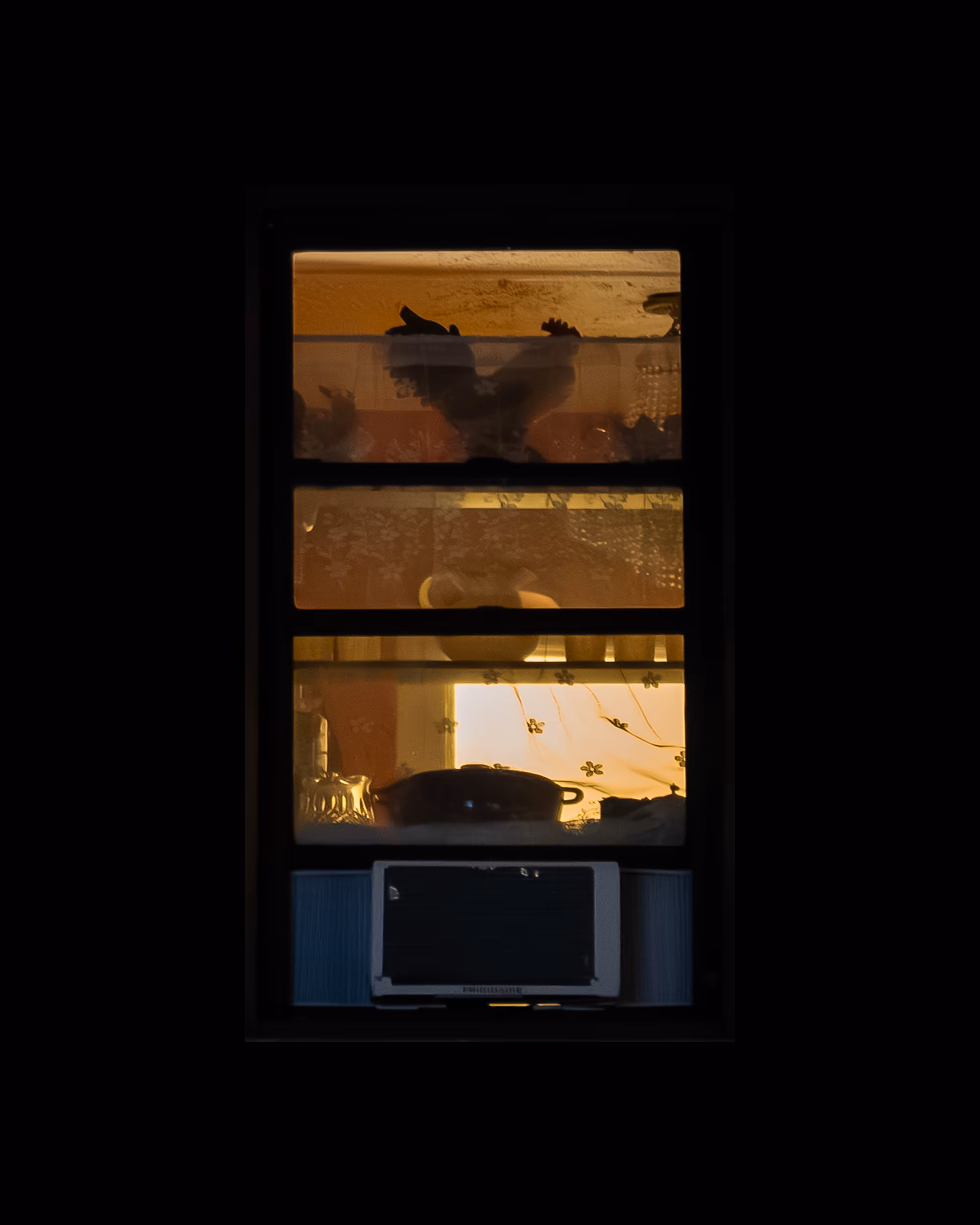 WINDOWS // NYC: WINDOW 213
