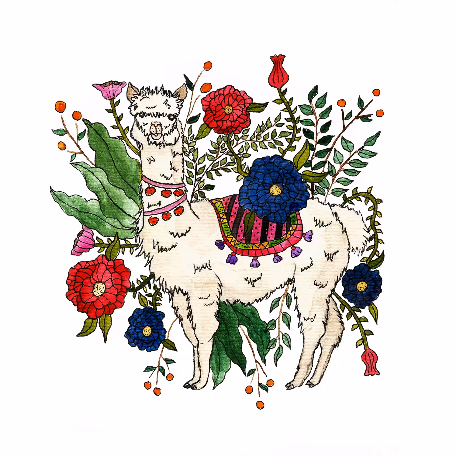 Alpaca In Between Bloom