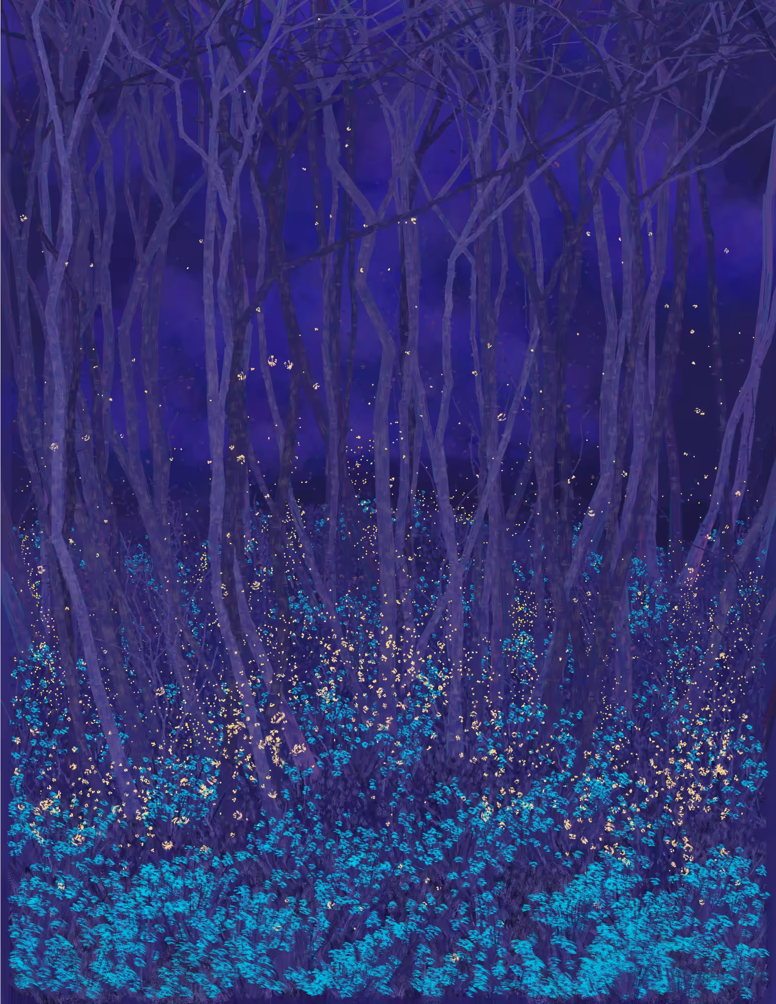 Deep Forest #215